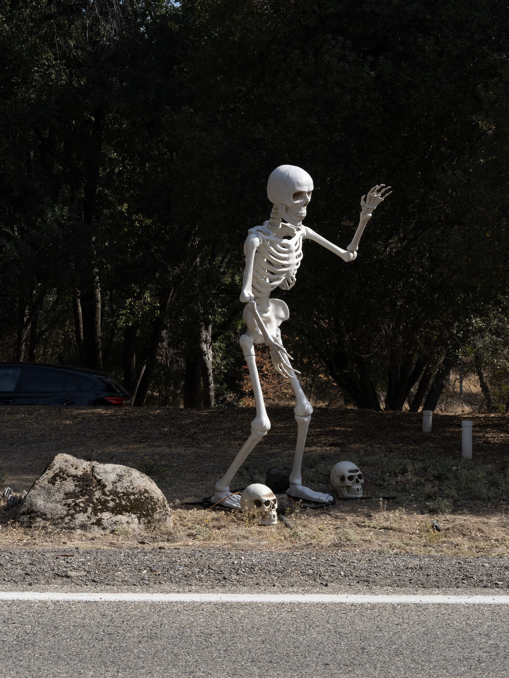 DSCF5420.jpg