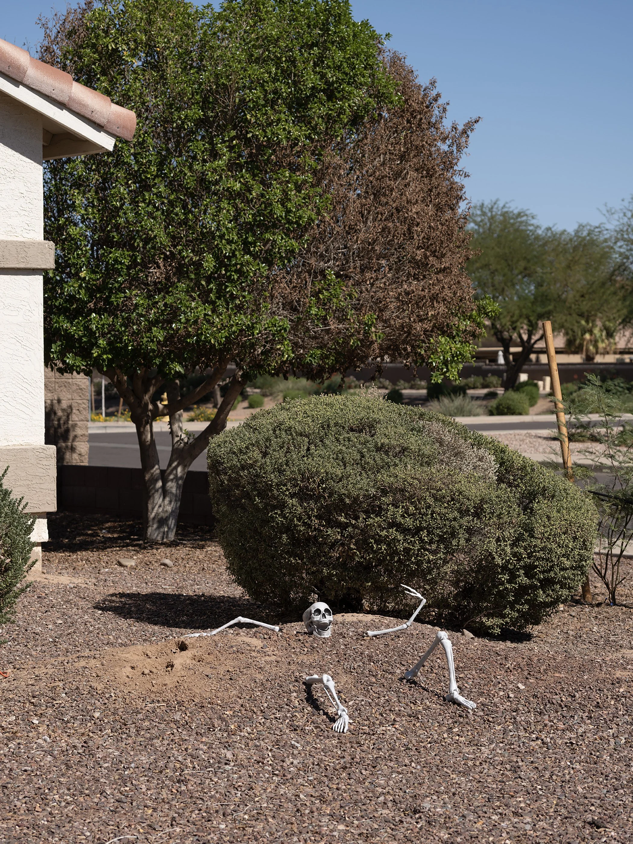 DSCF7817.jpg