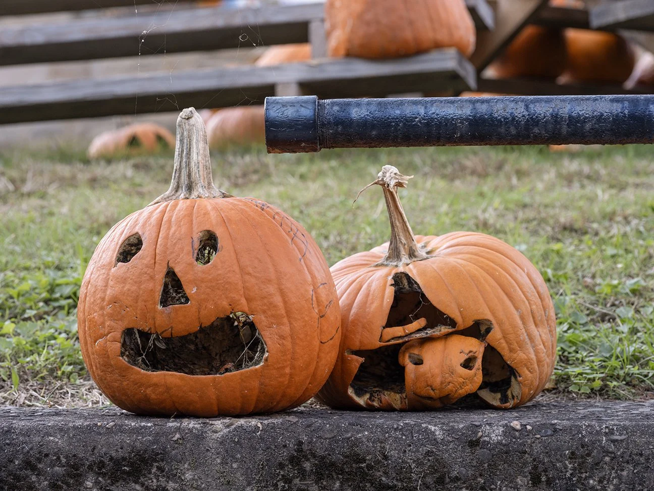 Logan, West Virginia, 2022