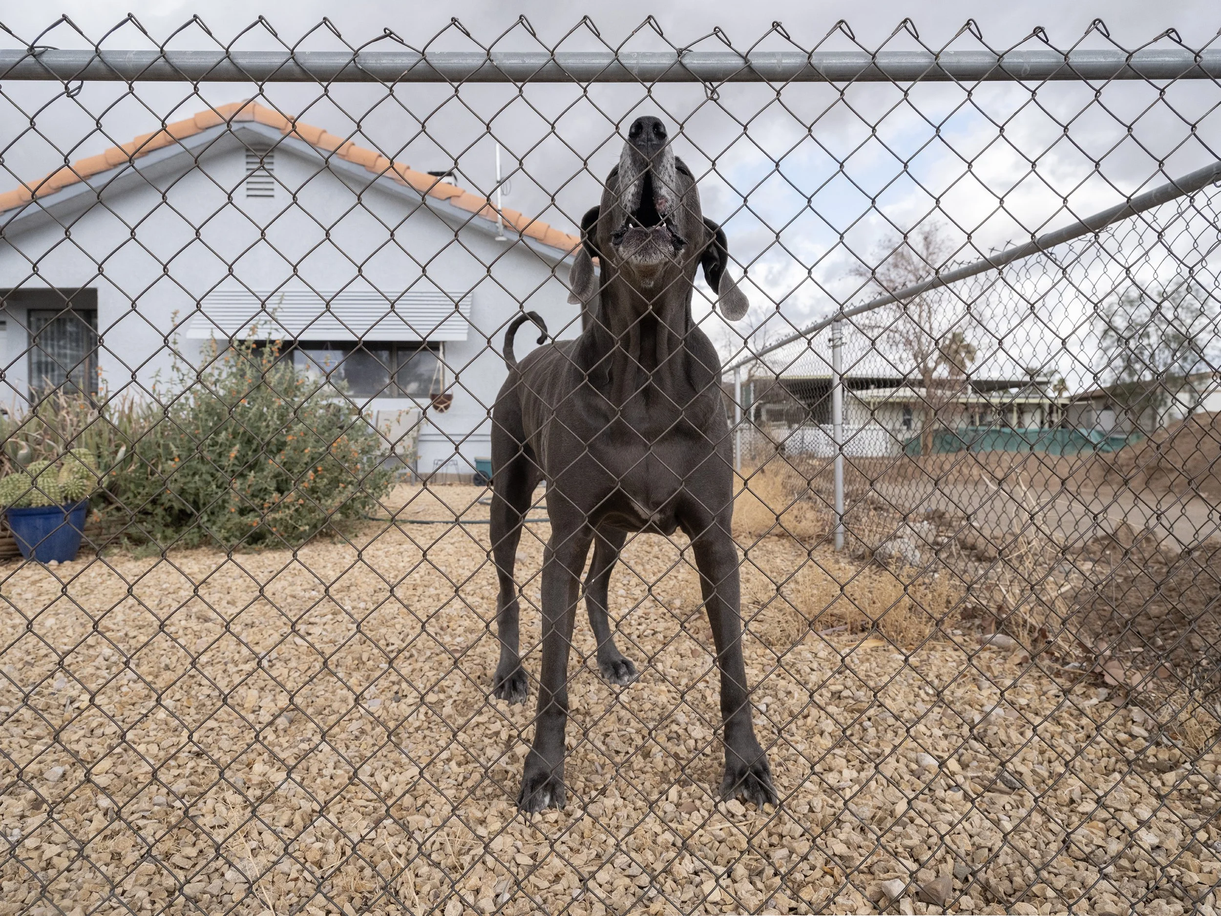 Bullhead City, Arizona, 2025