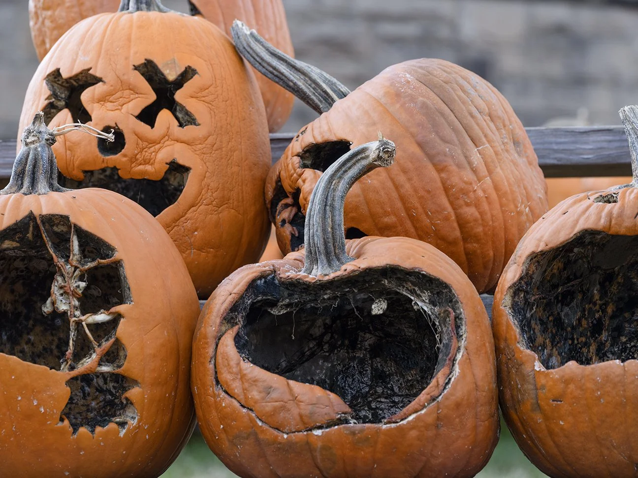 Logan, West Virginia, 2022