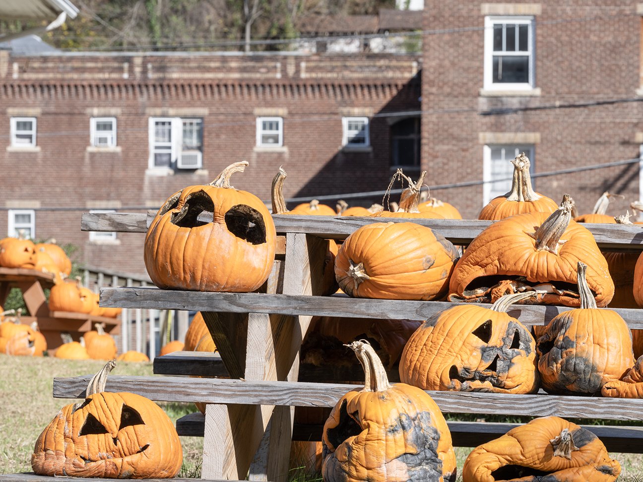 Logan, West Virginia, 2022