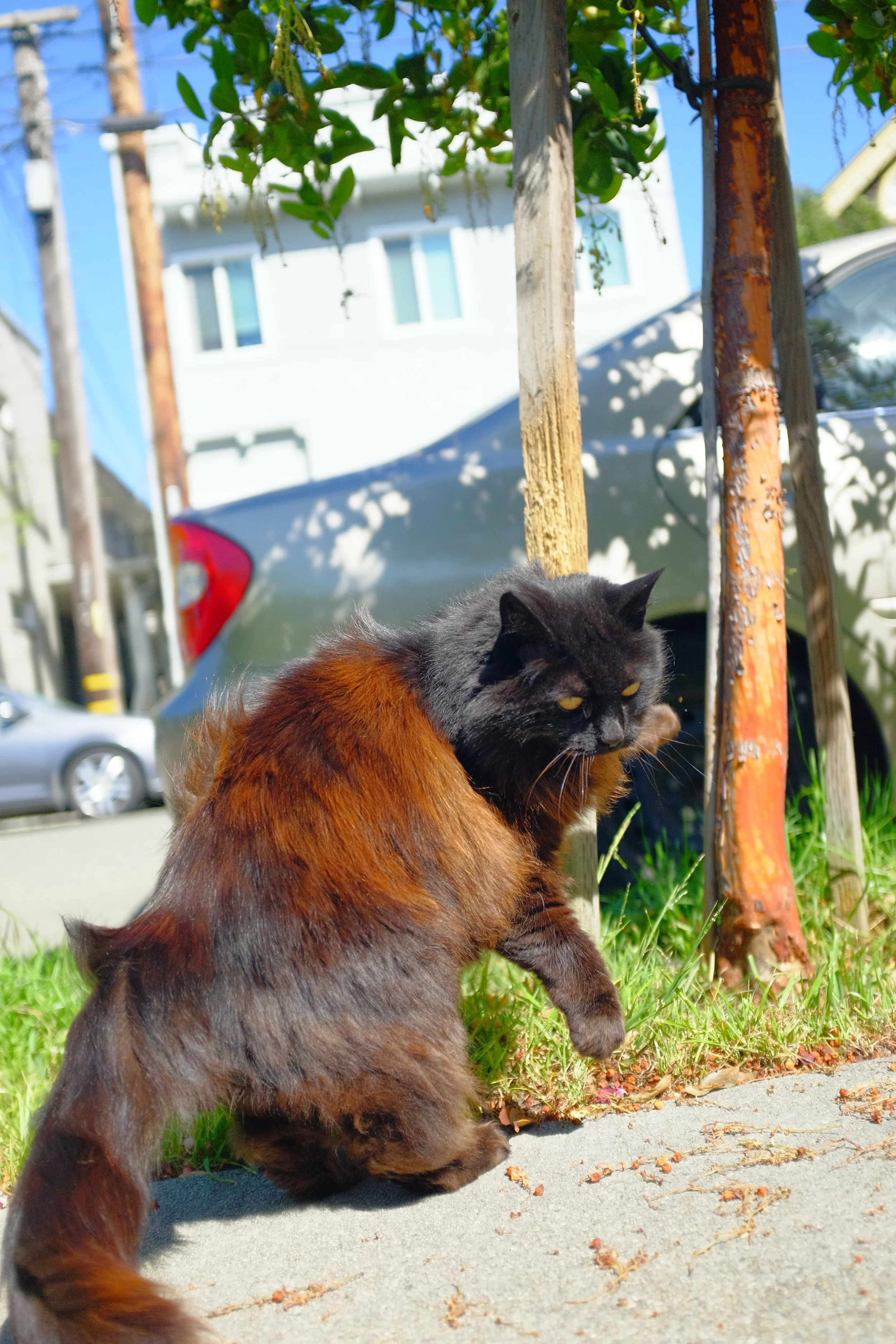 DSCF3257.JPG