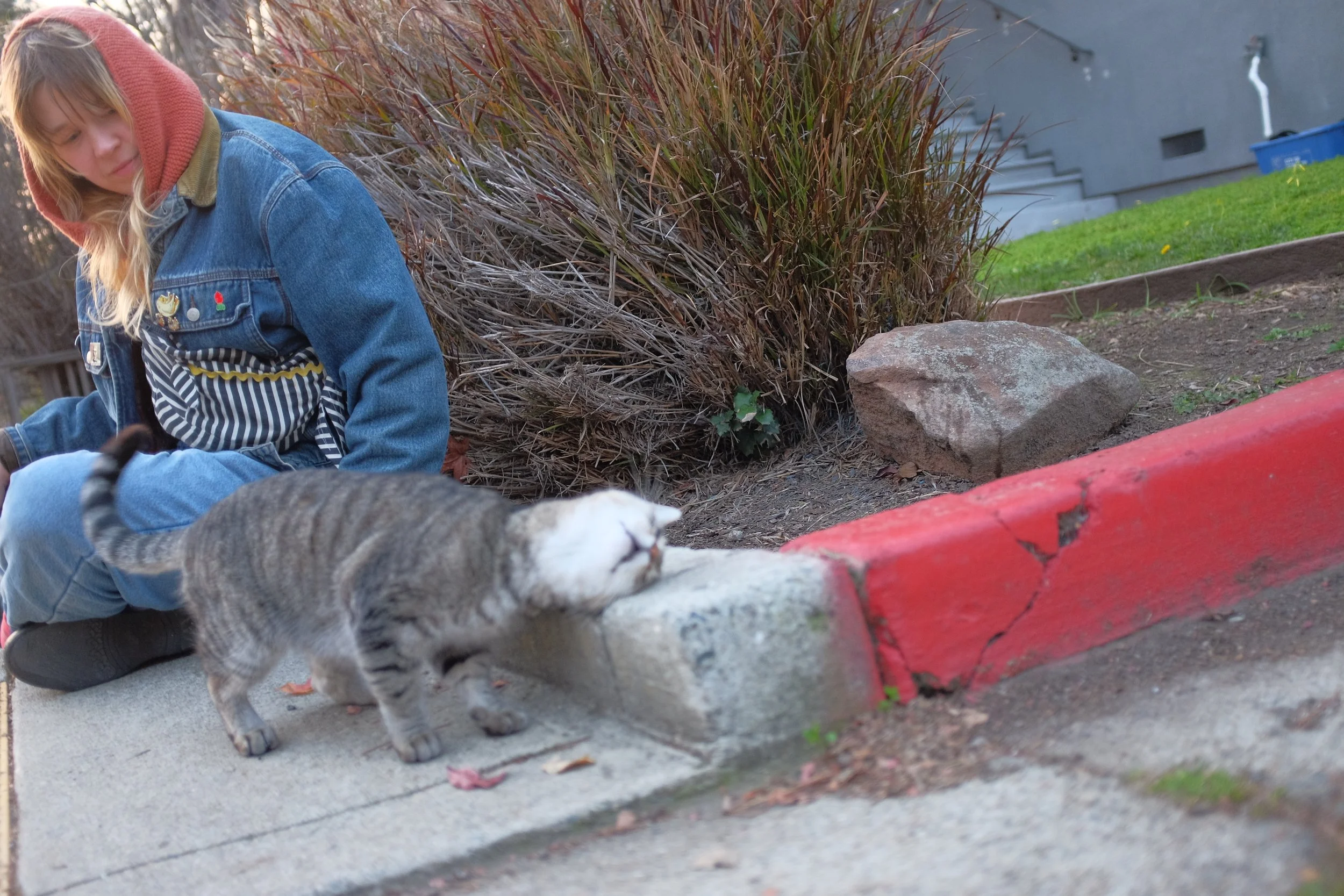 DSCF8191.JPG