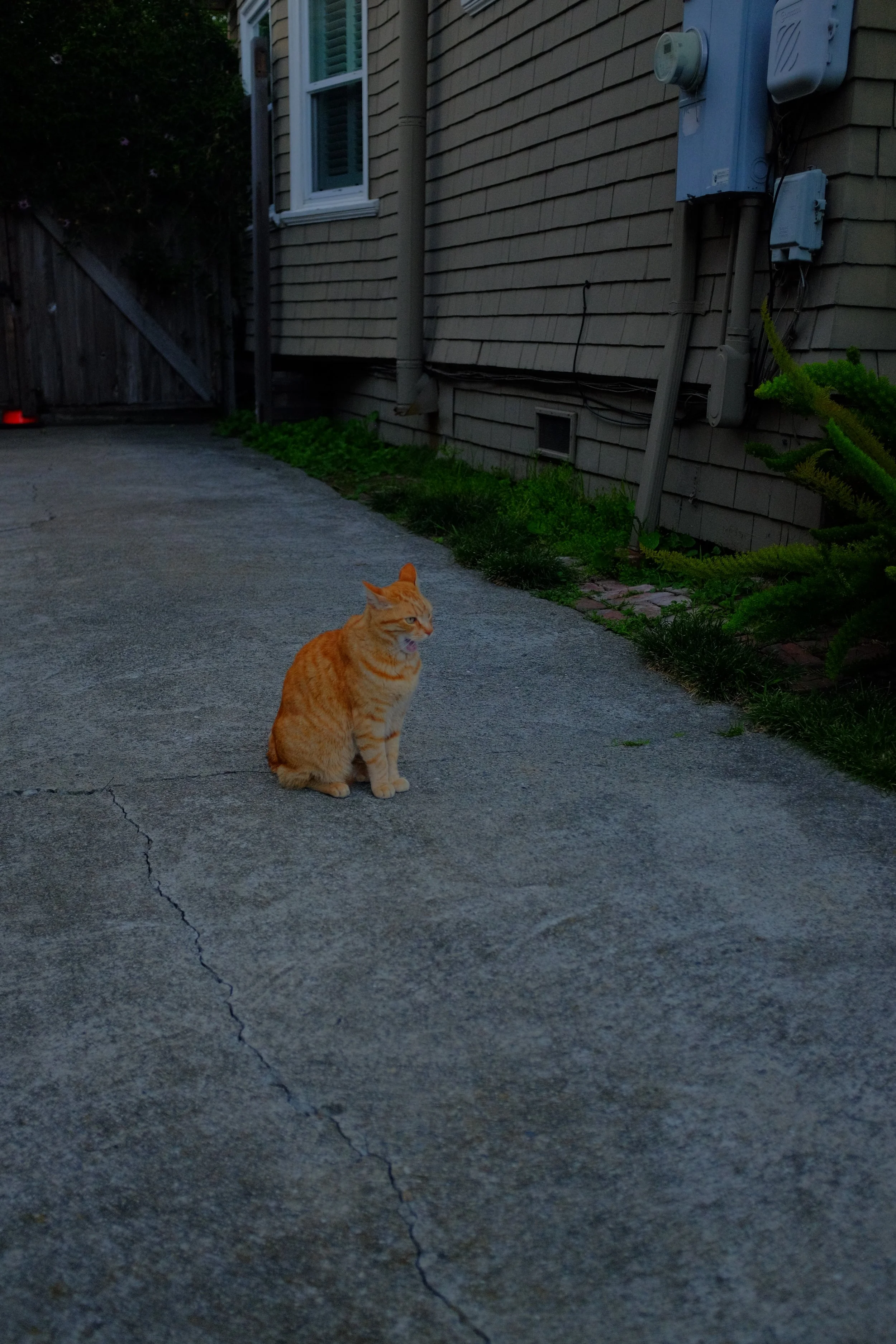 DSCF3963.JPG