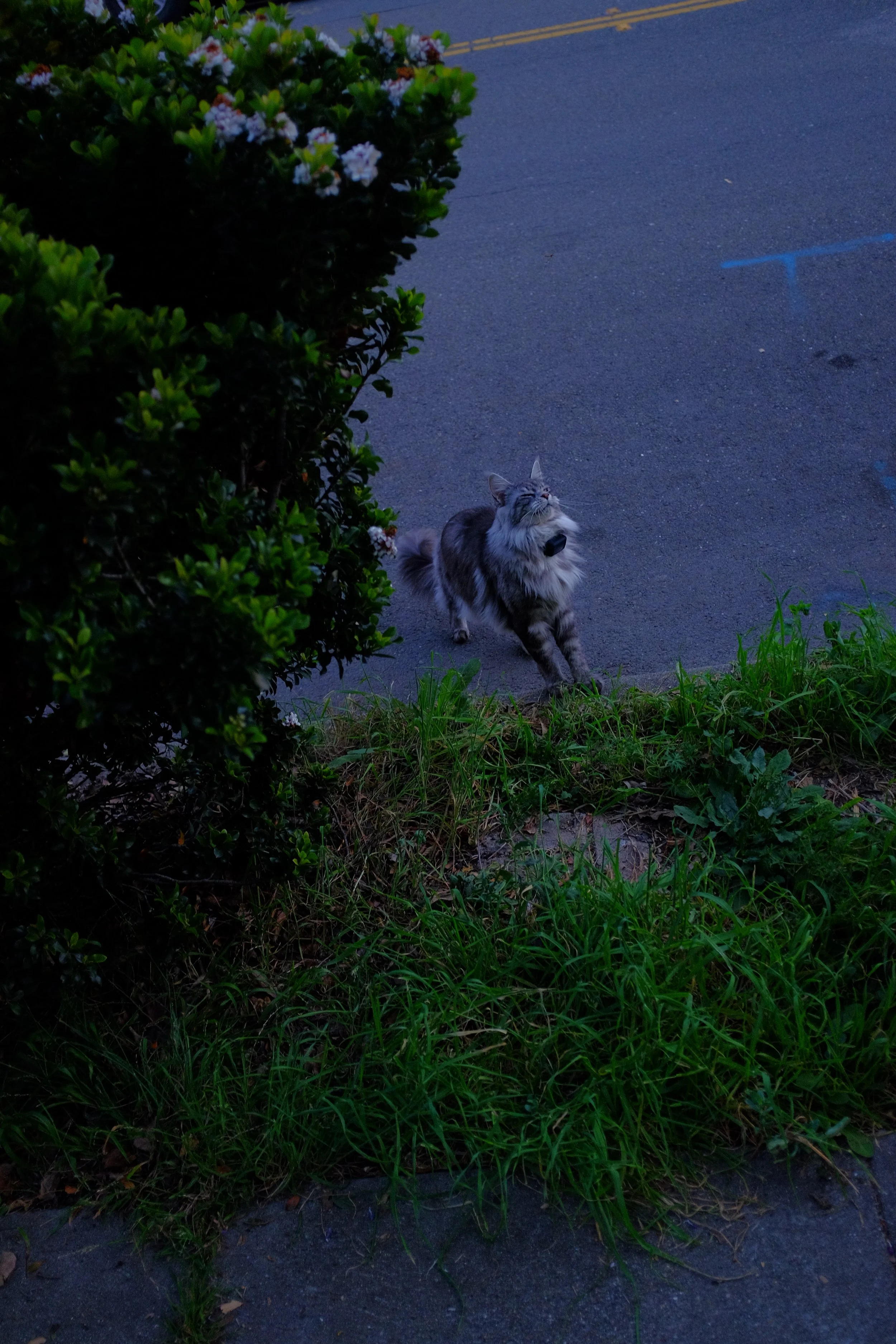 DSCF1890.JPG