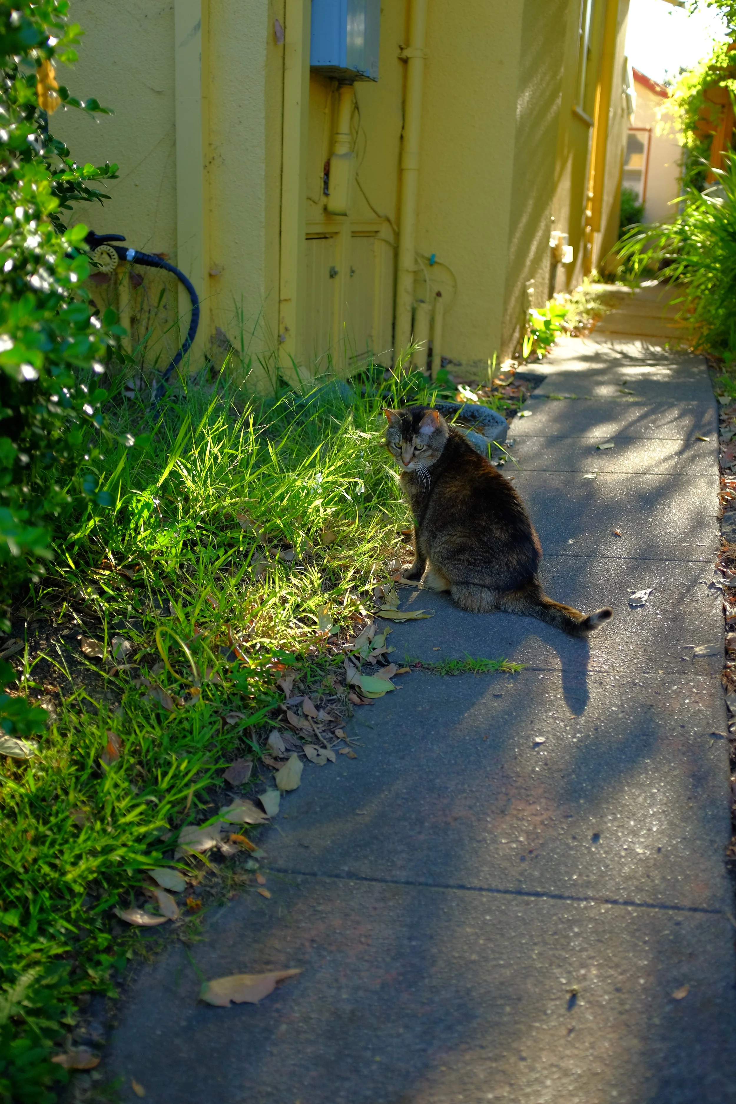 DSCF3424.JPG