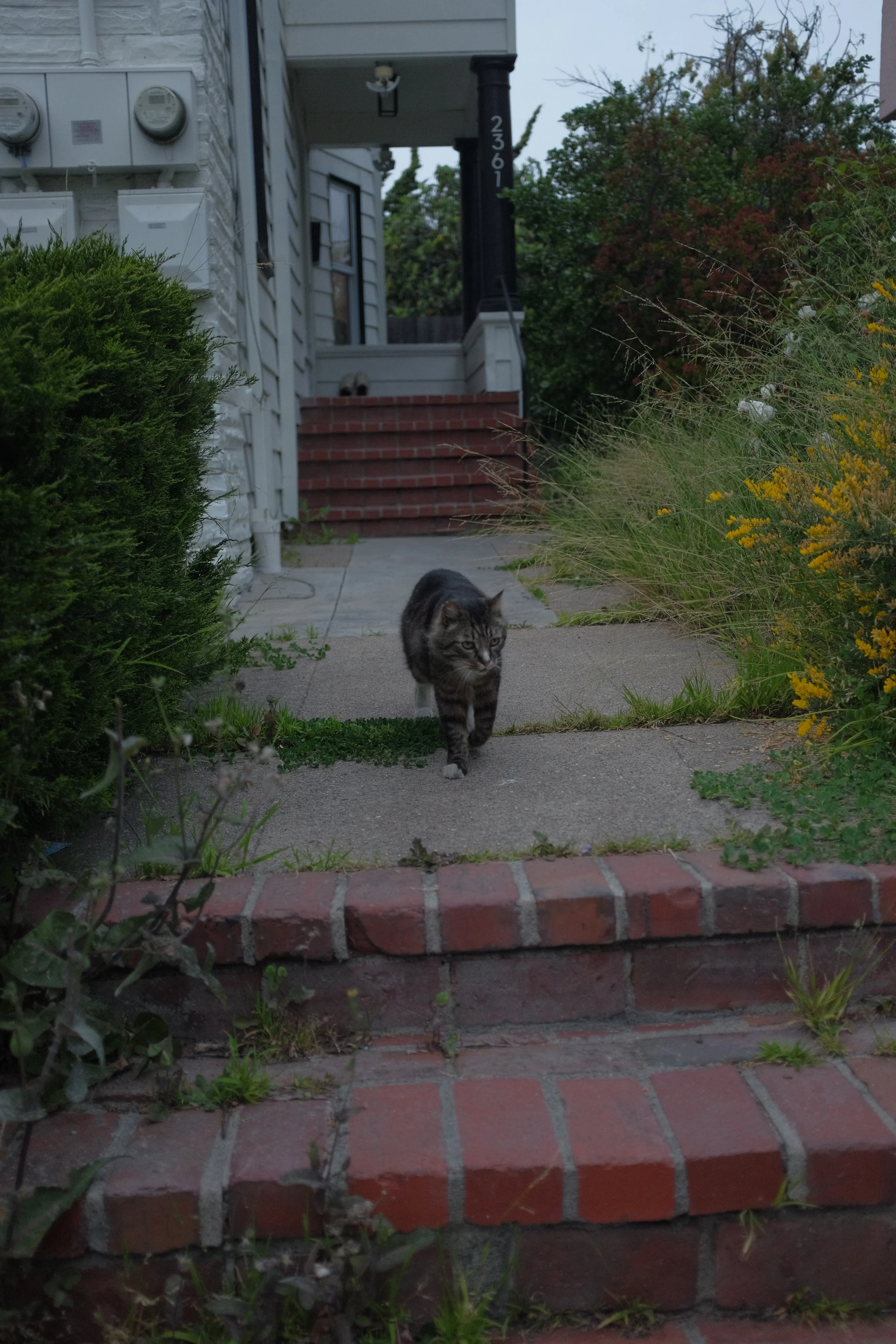 DSCF2577.JPG