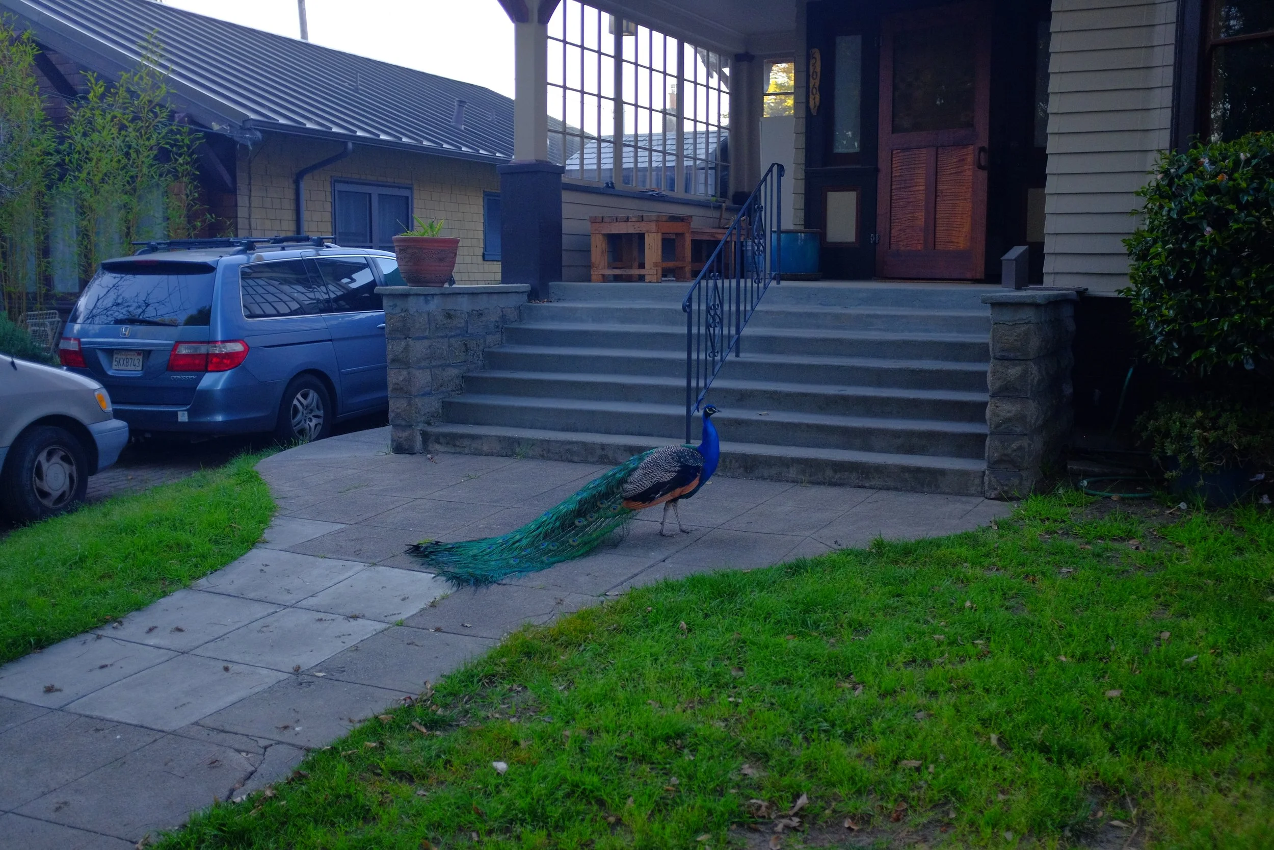 DSCF1559.JPG