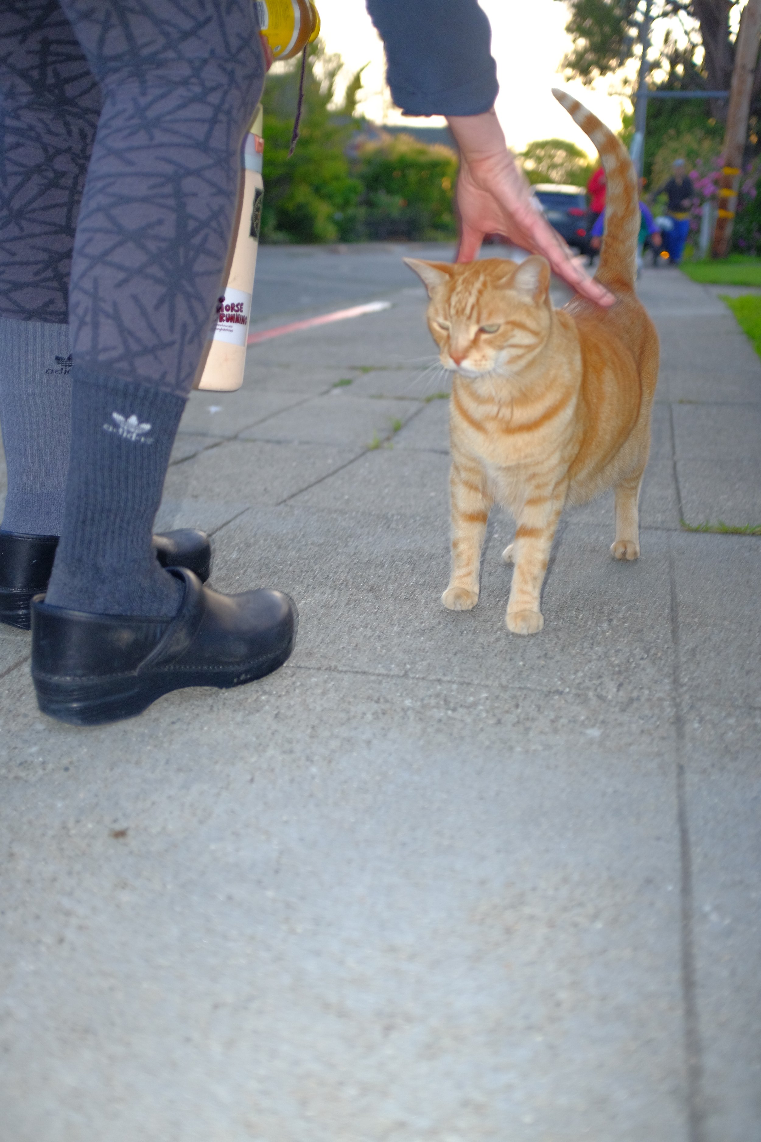 DSCF4529.JPG