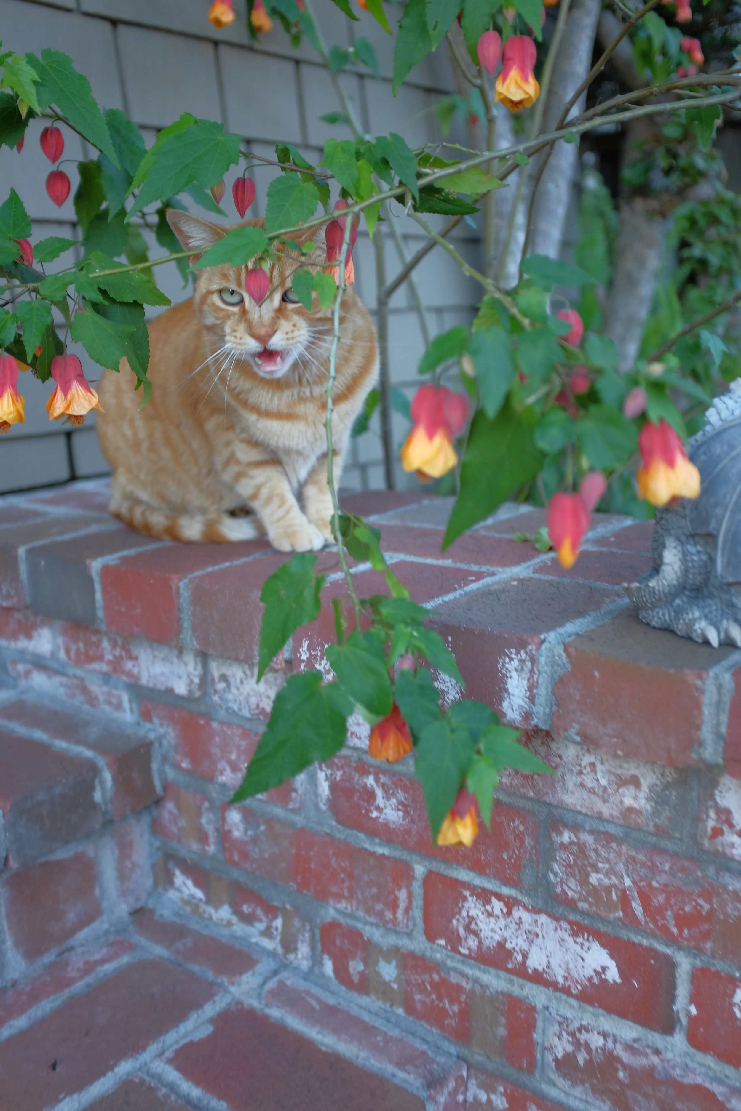 DSCF9920.JPG