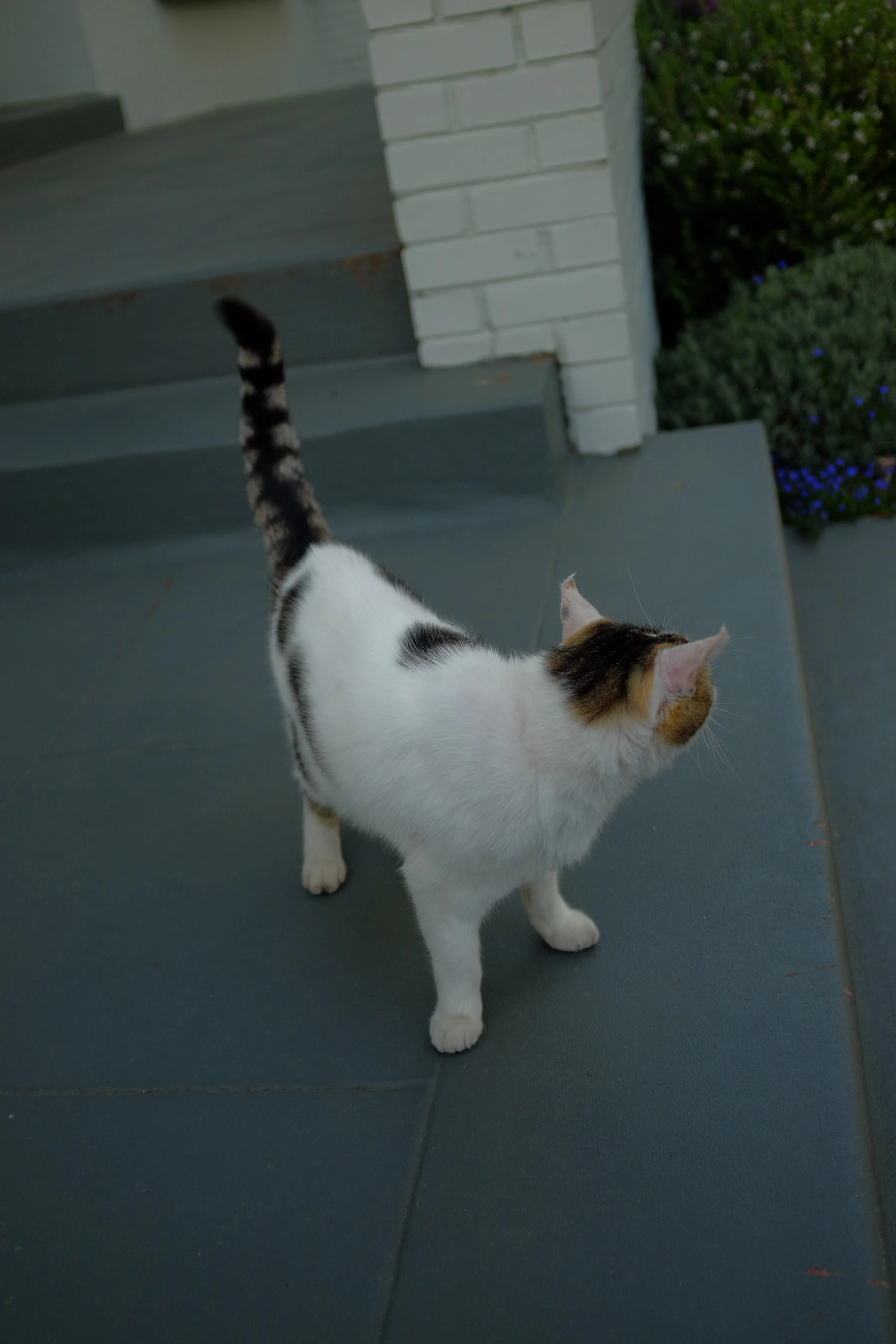 DSCF1334.JPG