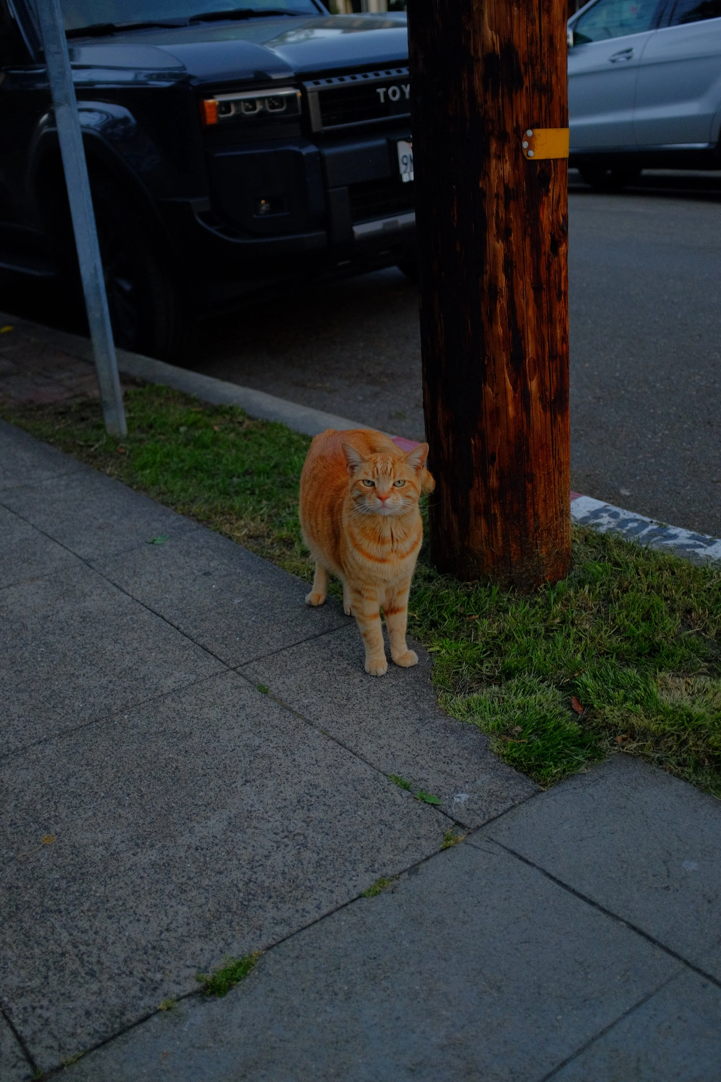 DSCF1946.JPG