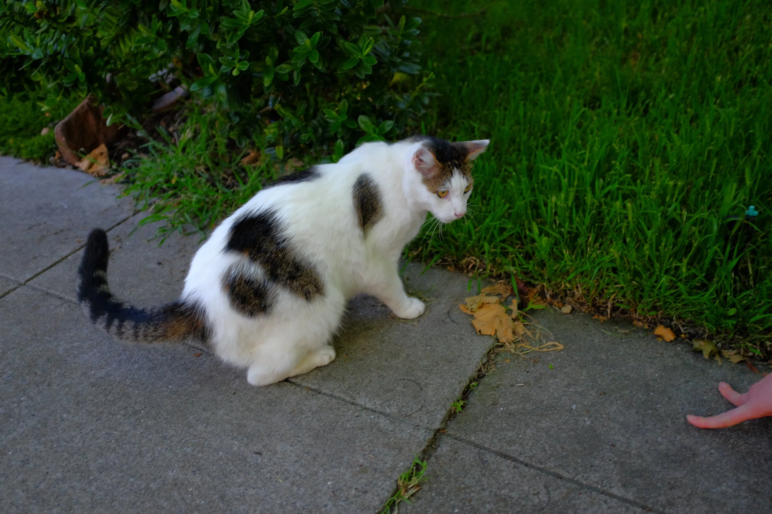 DSCF4507.JPG