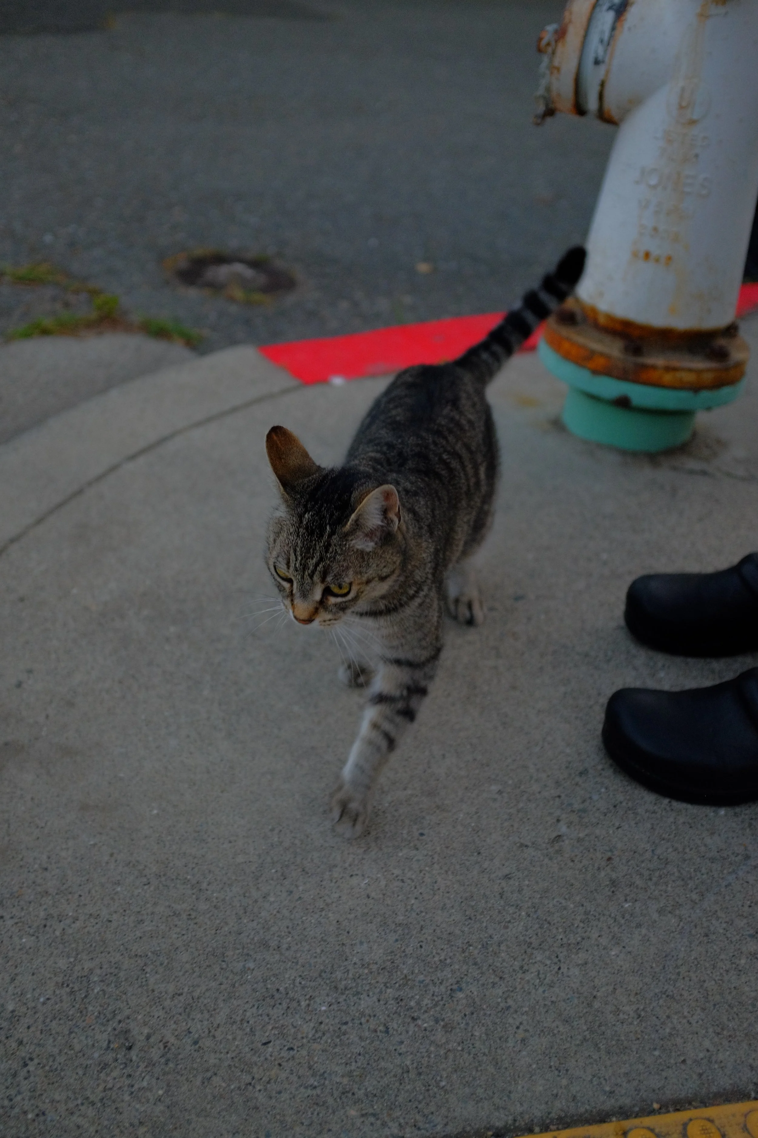 DSCF4651.JPG
