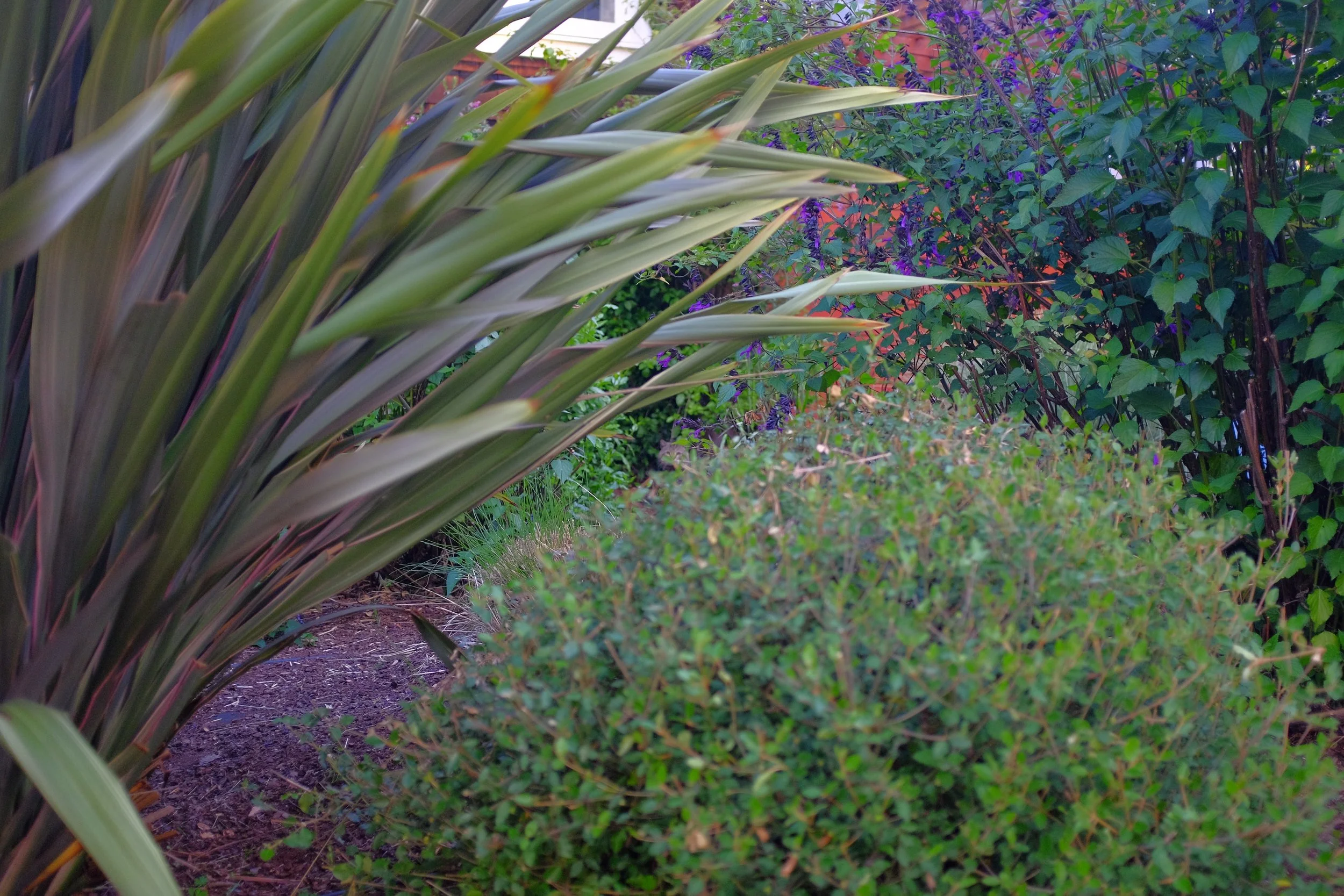 DSCF3504.JPG