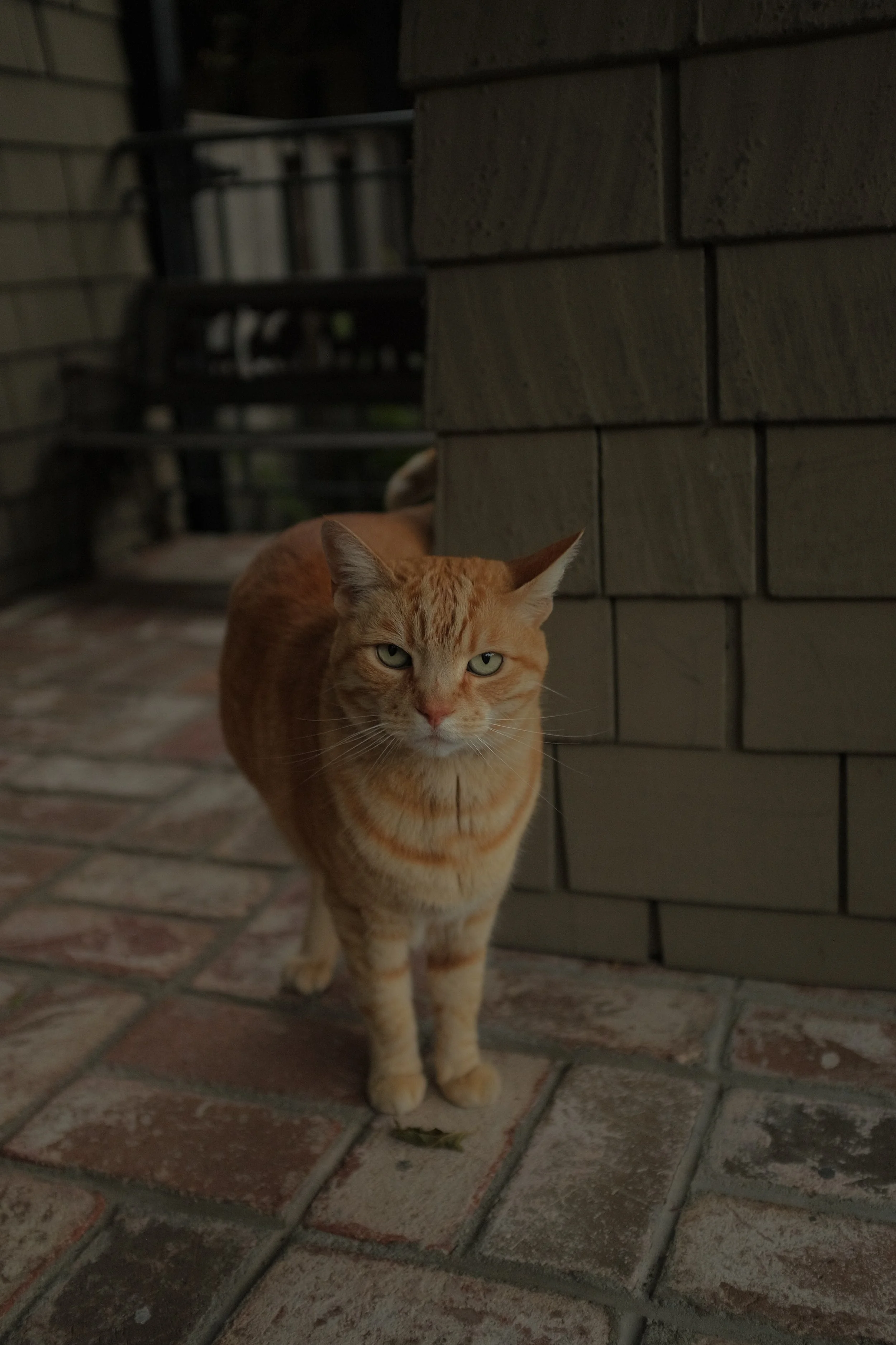 DSCF2699.JPG