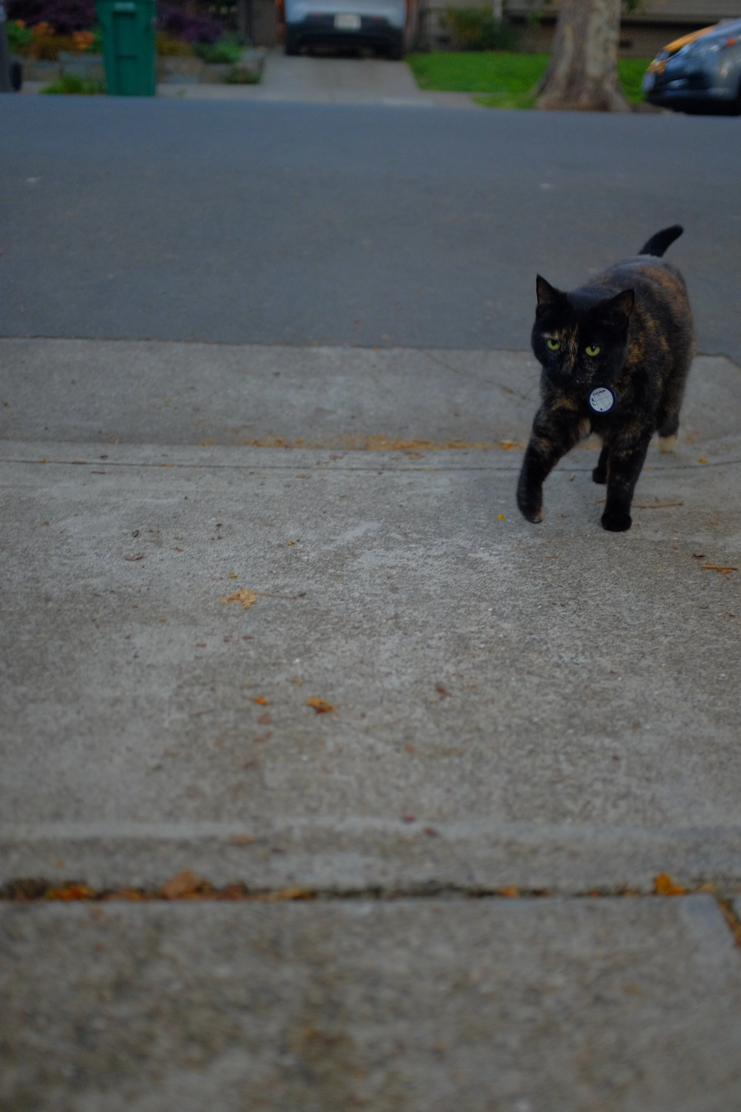 DSCF1102.JPG