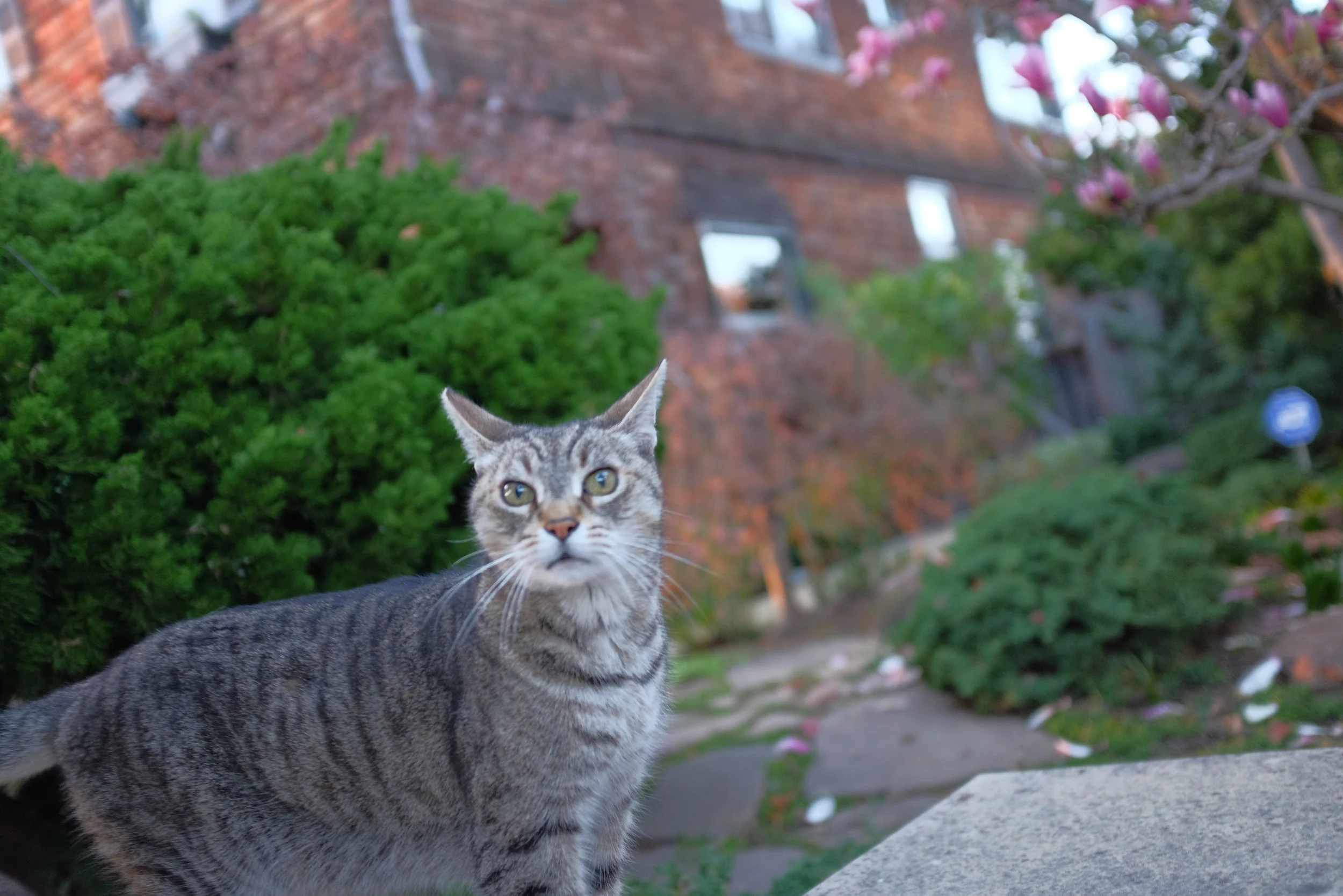 DSCF8773.JPG