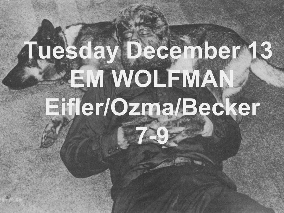 Performance at EM Wolfman, 2016