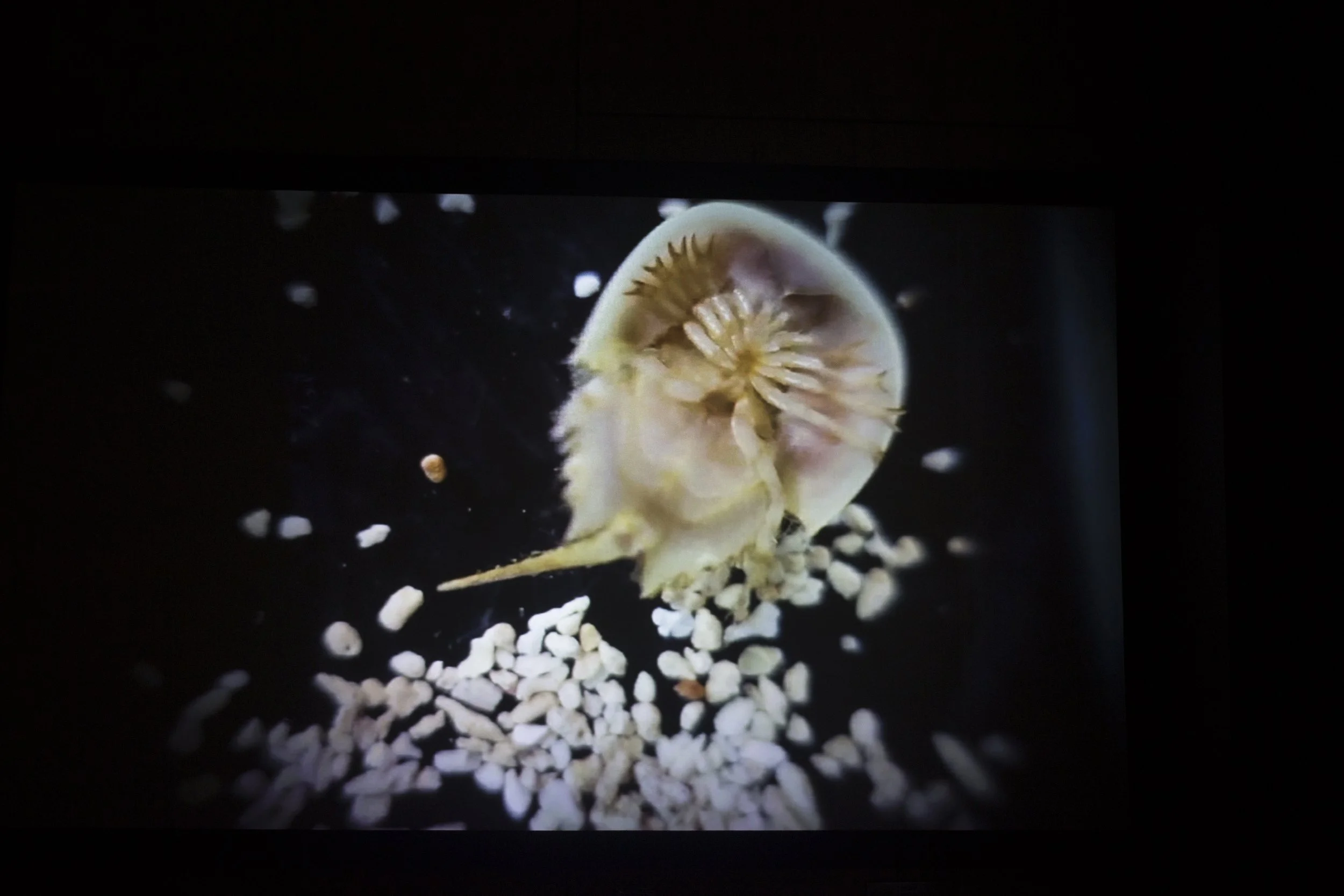 1555 Minna_June2014_CM-38.jpg