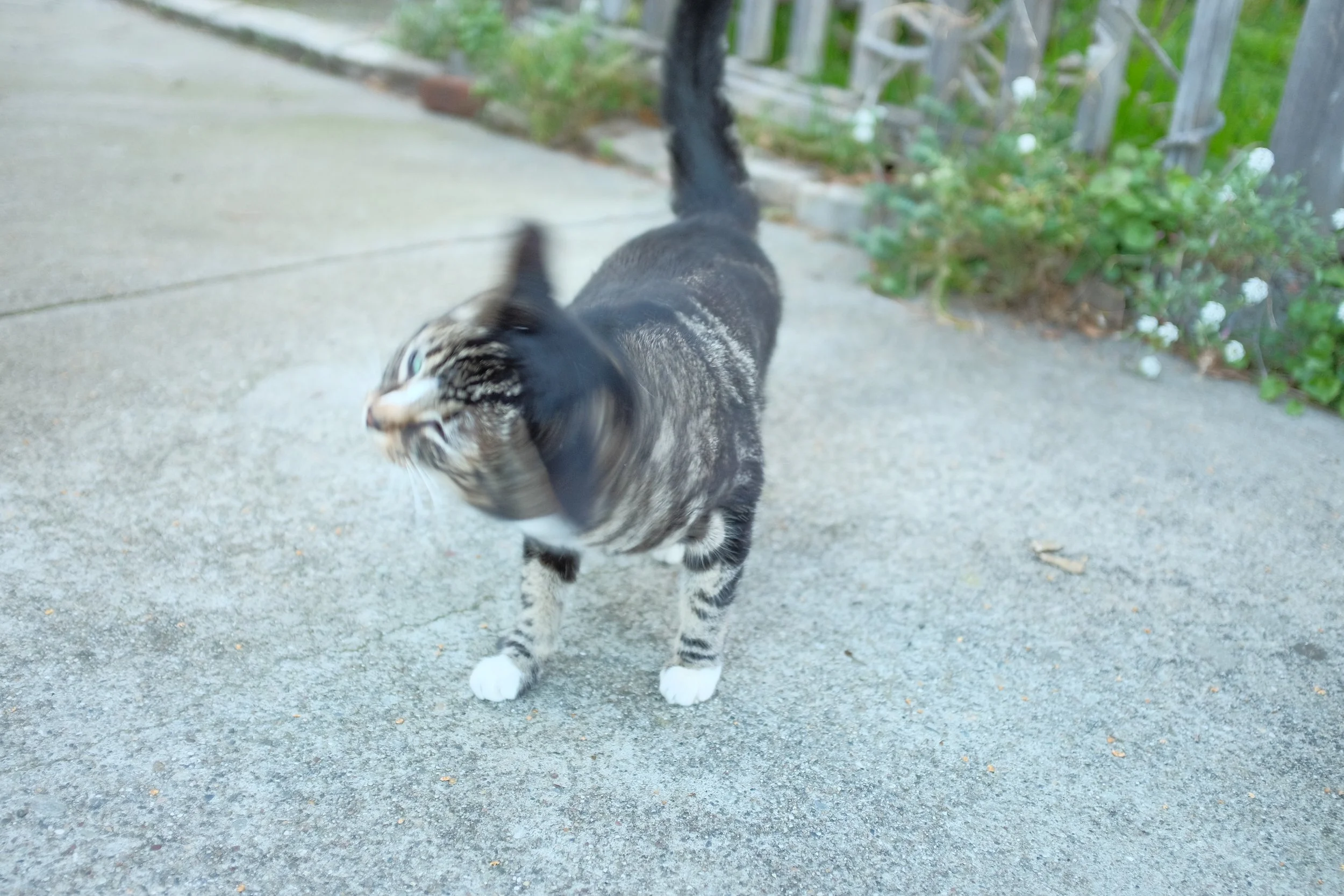 DSCF9413.JPG