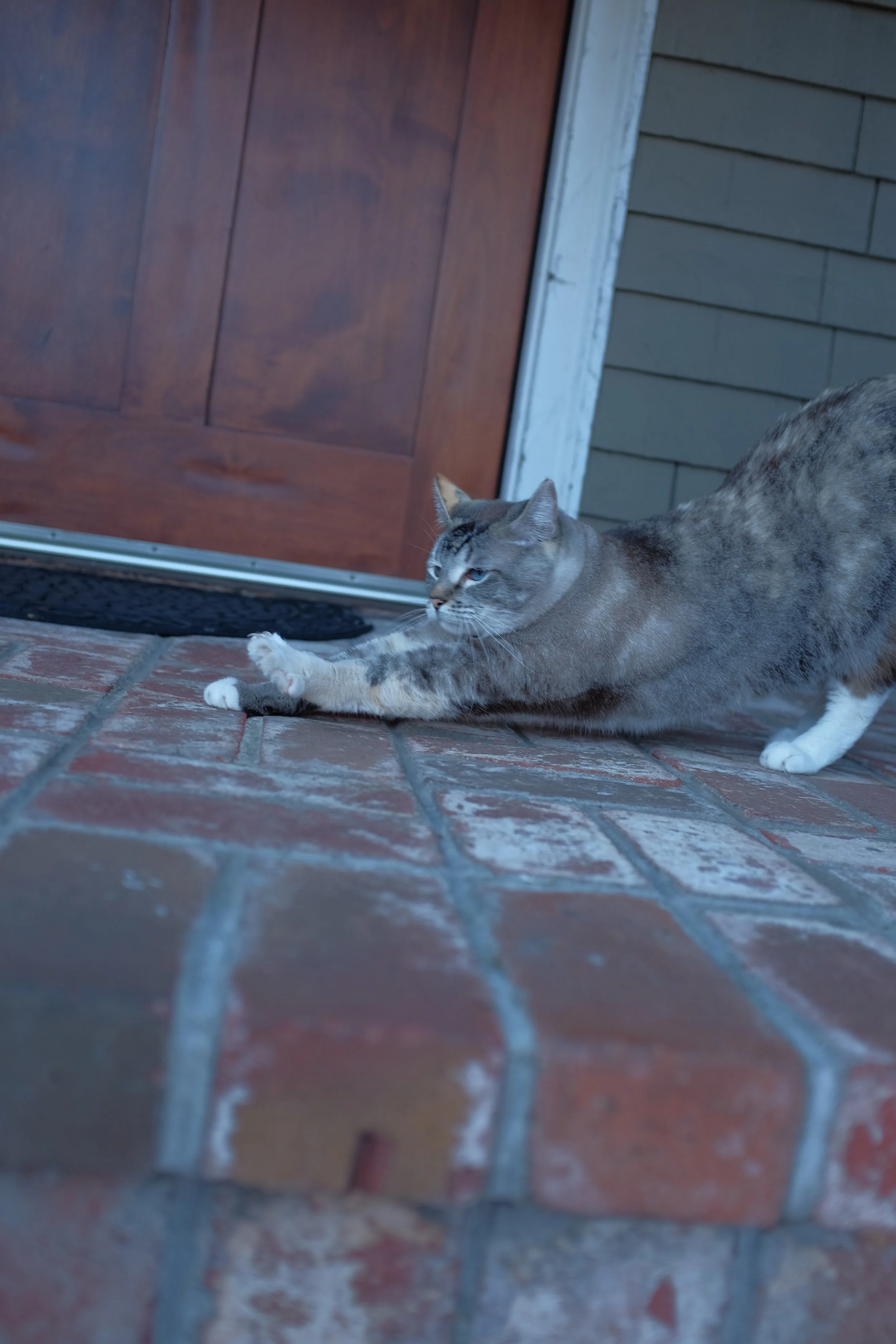 DSCF9922.JPG