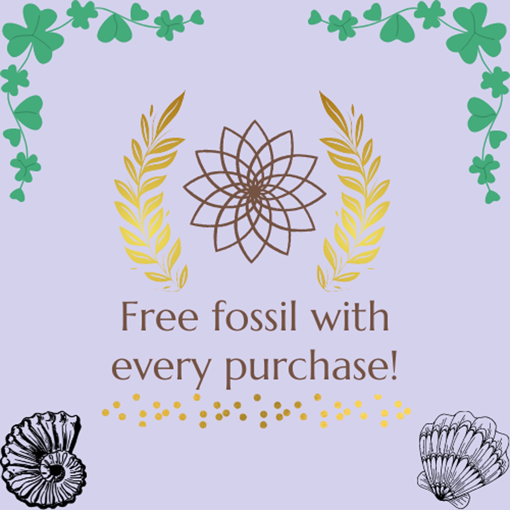 https://i.etsystatic.com/31419039/r/il/90223f/3362683943/il_fullxfull.3362683943_io9y.jpg