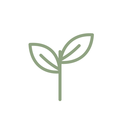 Growing sprig icon