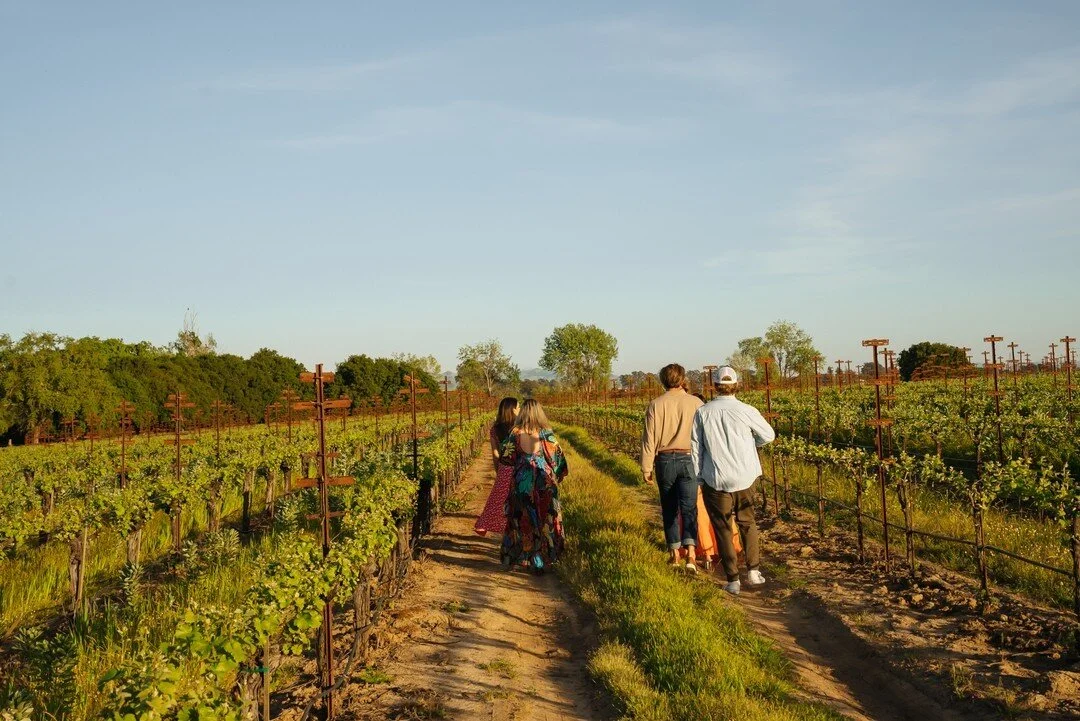 A sunset stroll through a private vineyard with sparkling wine in hand. Just you, your closest friends and your private guide. ​​​​​​​​​Escape from the city for an afternoon in the &quot;Mediterranean Summer&quot;, a private tasting experience offere