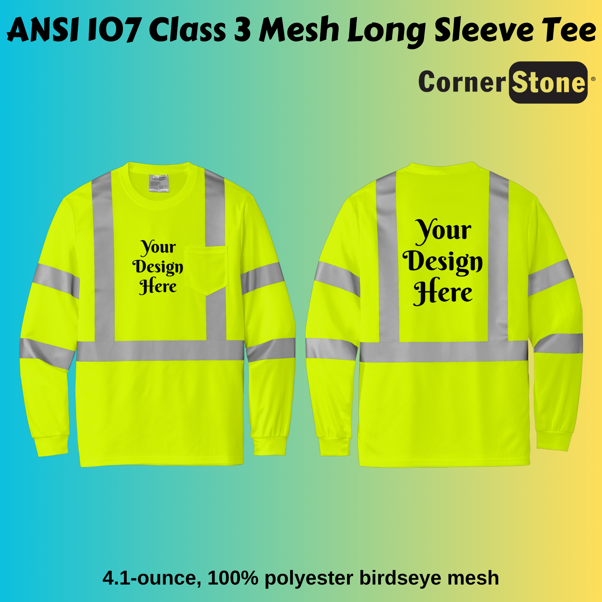 CS203.png