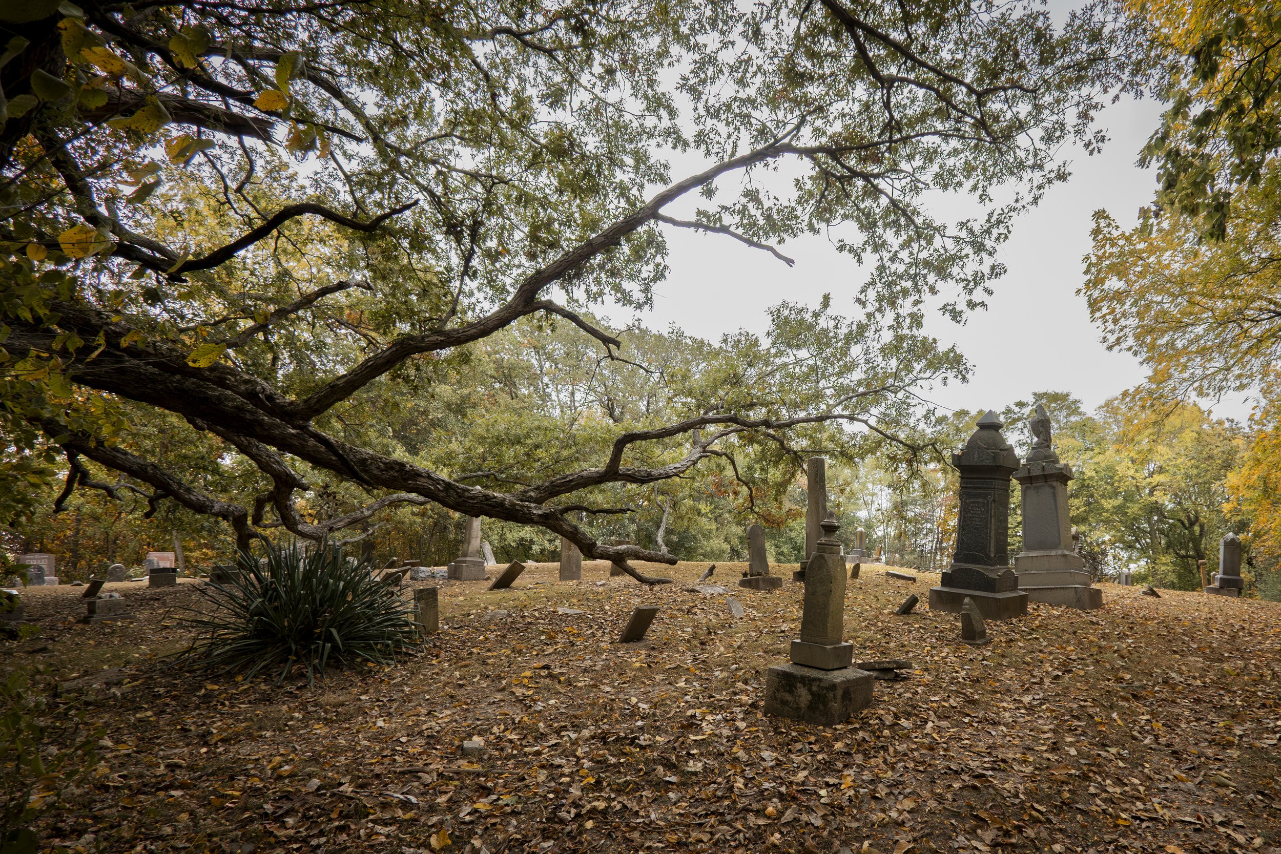 The Criticals-Lost Lake-Larissa Swatek-2.jpg