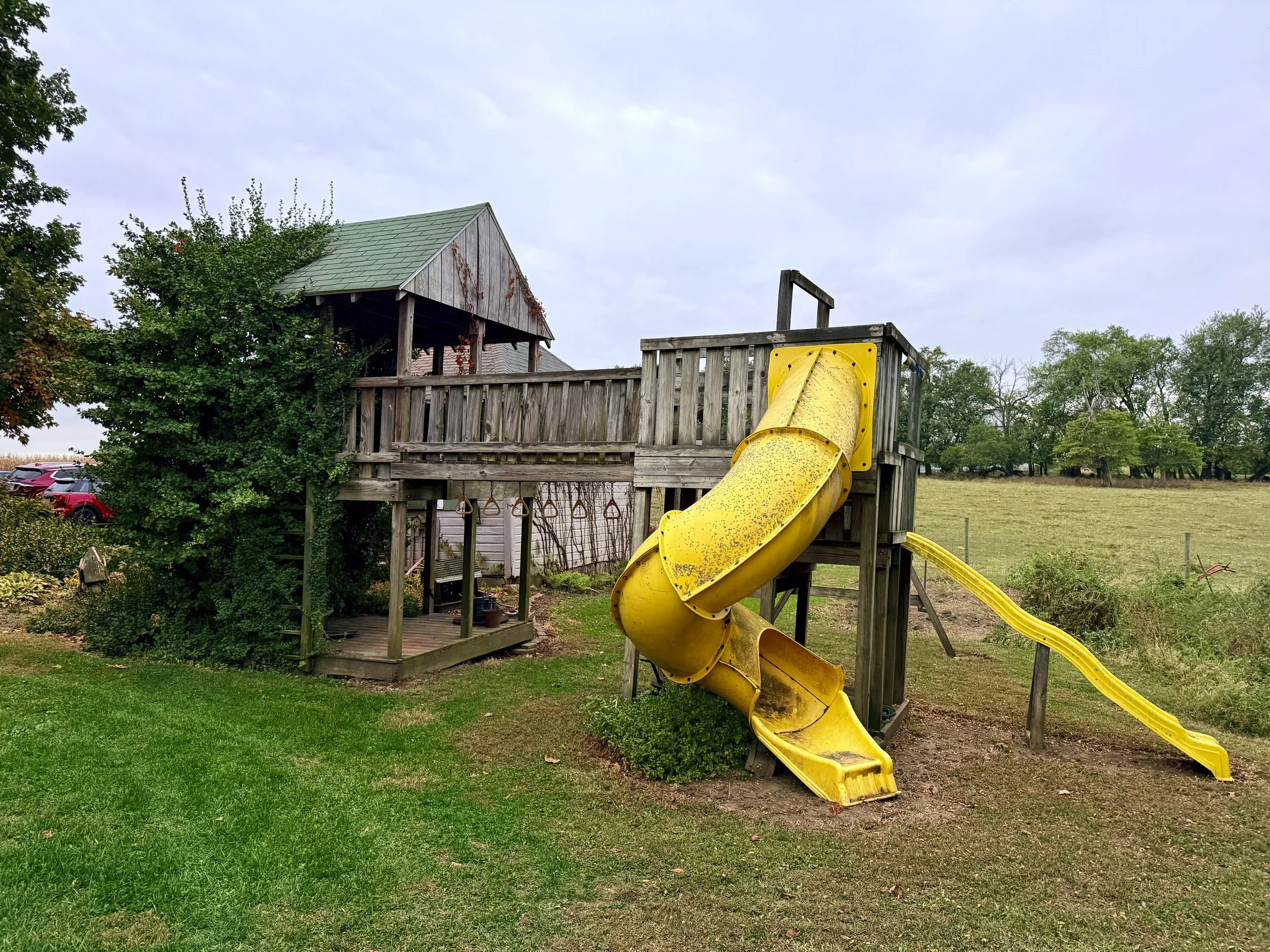 Aurora November 2025 -1.jpg