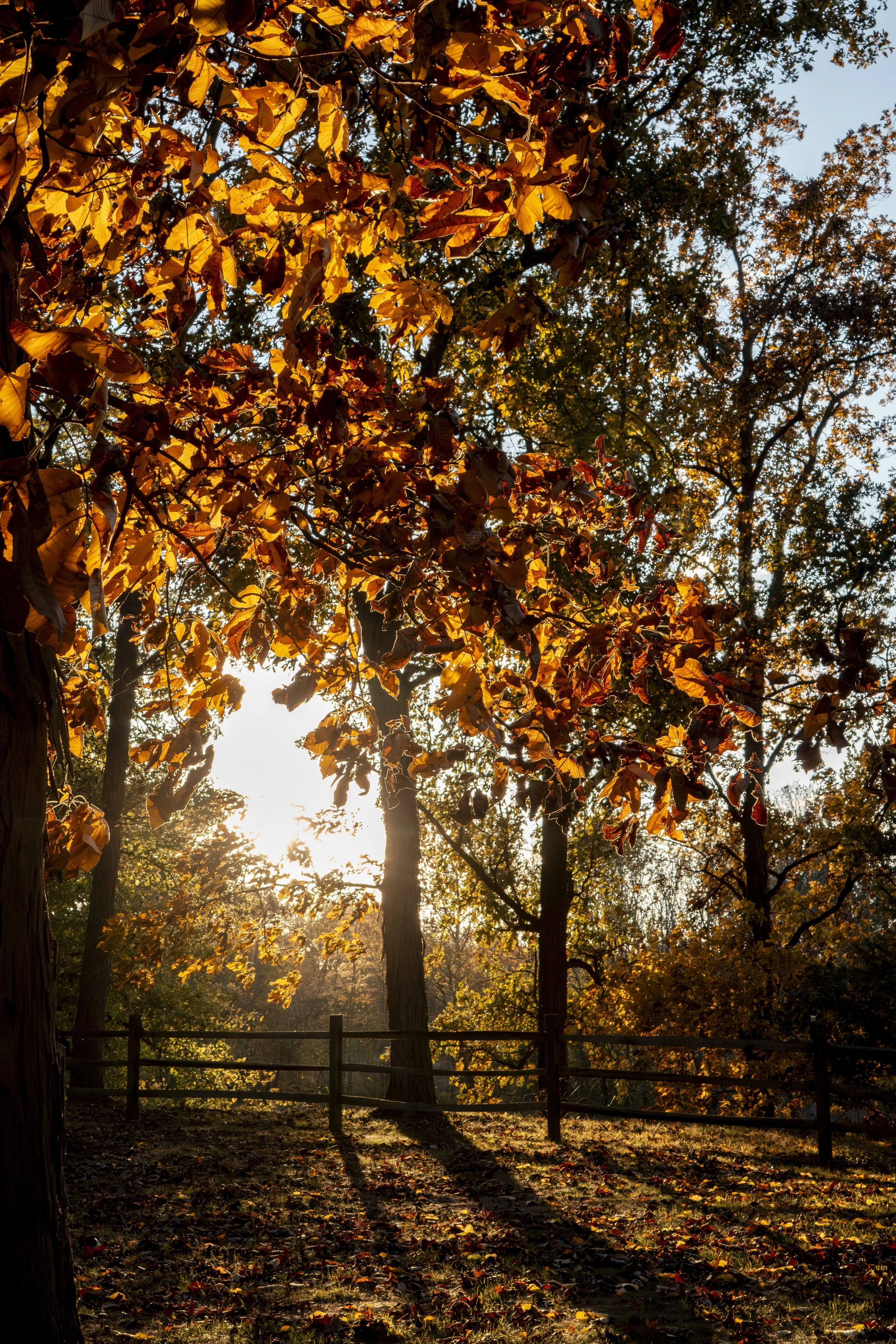 The Criticals-Lost Lake-Larissa Swatek-12.jpg