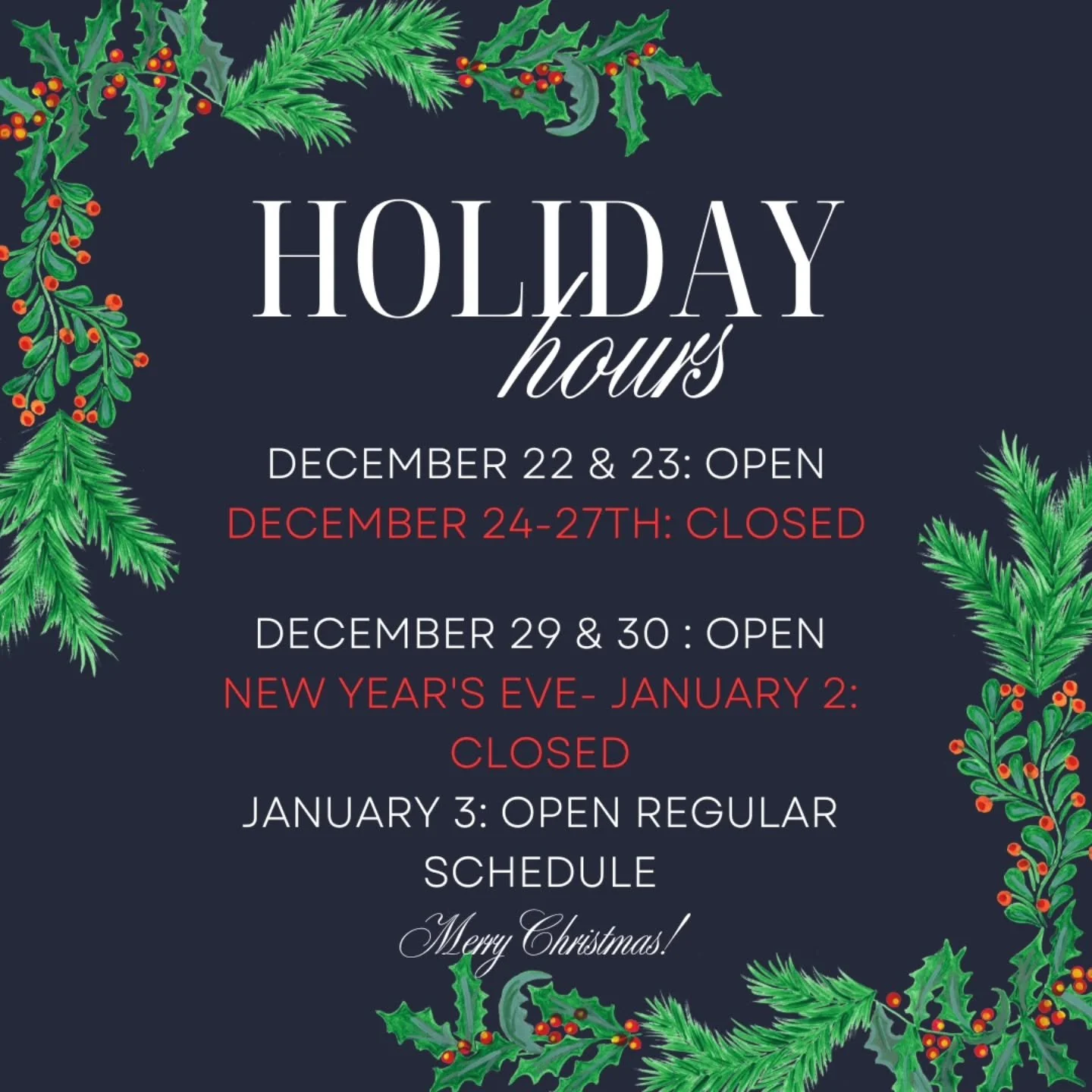 Please note: Christmas 🎄 holiday hours.  Also note 24/27 &amp; 29 /30  we will be operating on modified  hours  6pm to 8:15 pm 
Keep up with our group chat for any openmats durring the holidays.
Merry Christmas 🎅 
#merrychristmas #holidays #LEASIDE