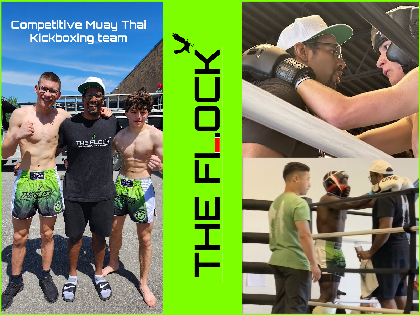 The Flock Mixed Martial Arts Academy