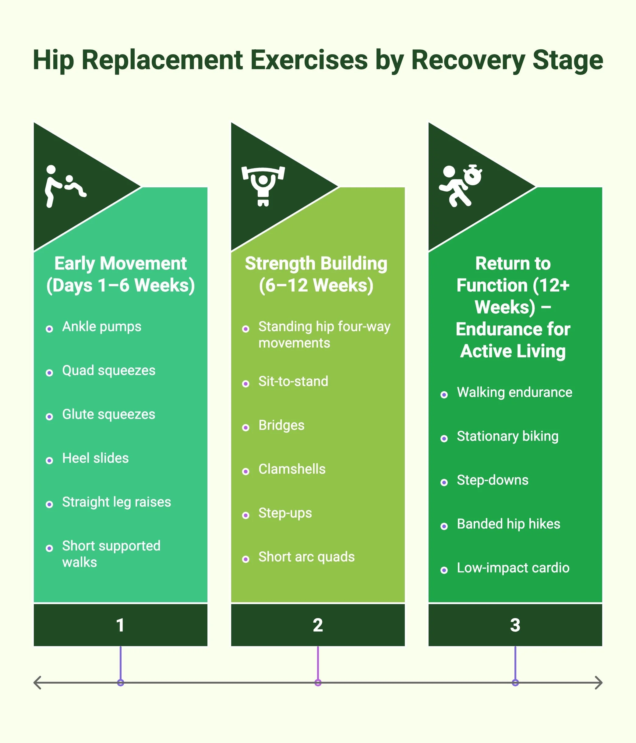 Hip Replacement Recovery Exercises To Restore Walking Strength — Physio ...