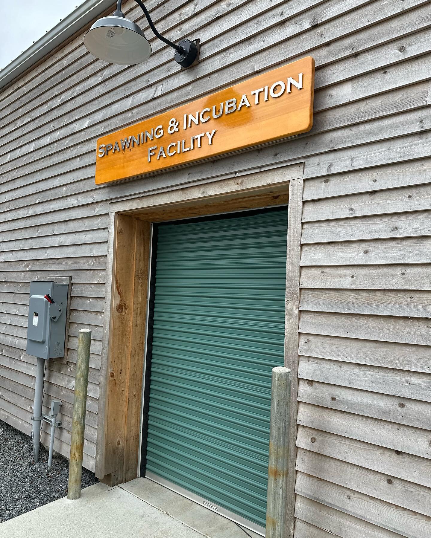 The latest Salty Sitkan Sign project is hung at Sitka Sound Science Center. Stainless Steel stood off from Alaska Yellow Cedar. Love to work on these multi-material projects.