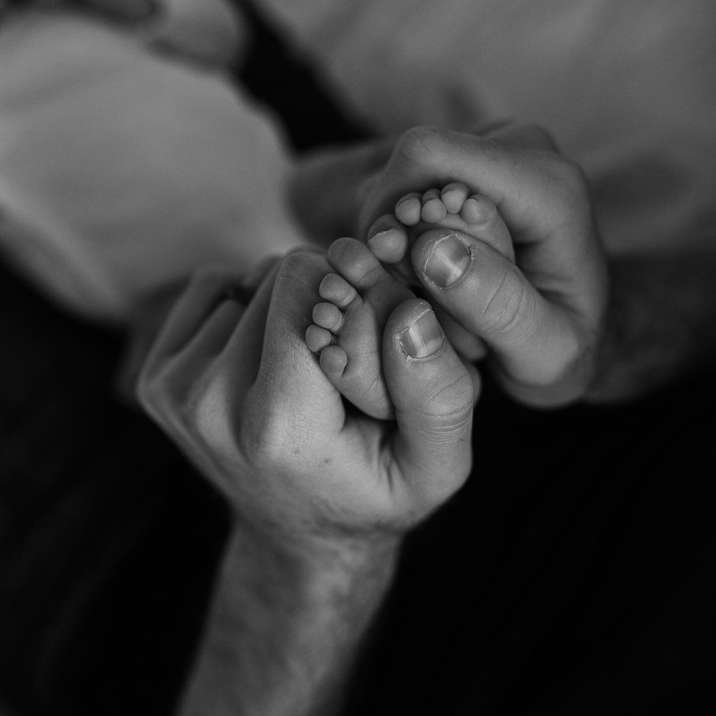 POV: you&rsquo;re three and your baby bro enters the scene.  #inhomesession #newbornsession #newbornphotography #inhomenewbornsession #newbornphotos #babyportraits #vancouverfamily #vancouverfamilynewborn #vancouvernewbornphotographer #vancouverlifes