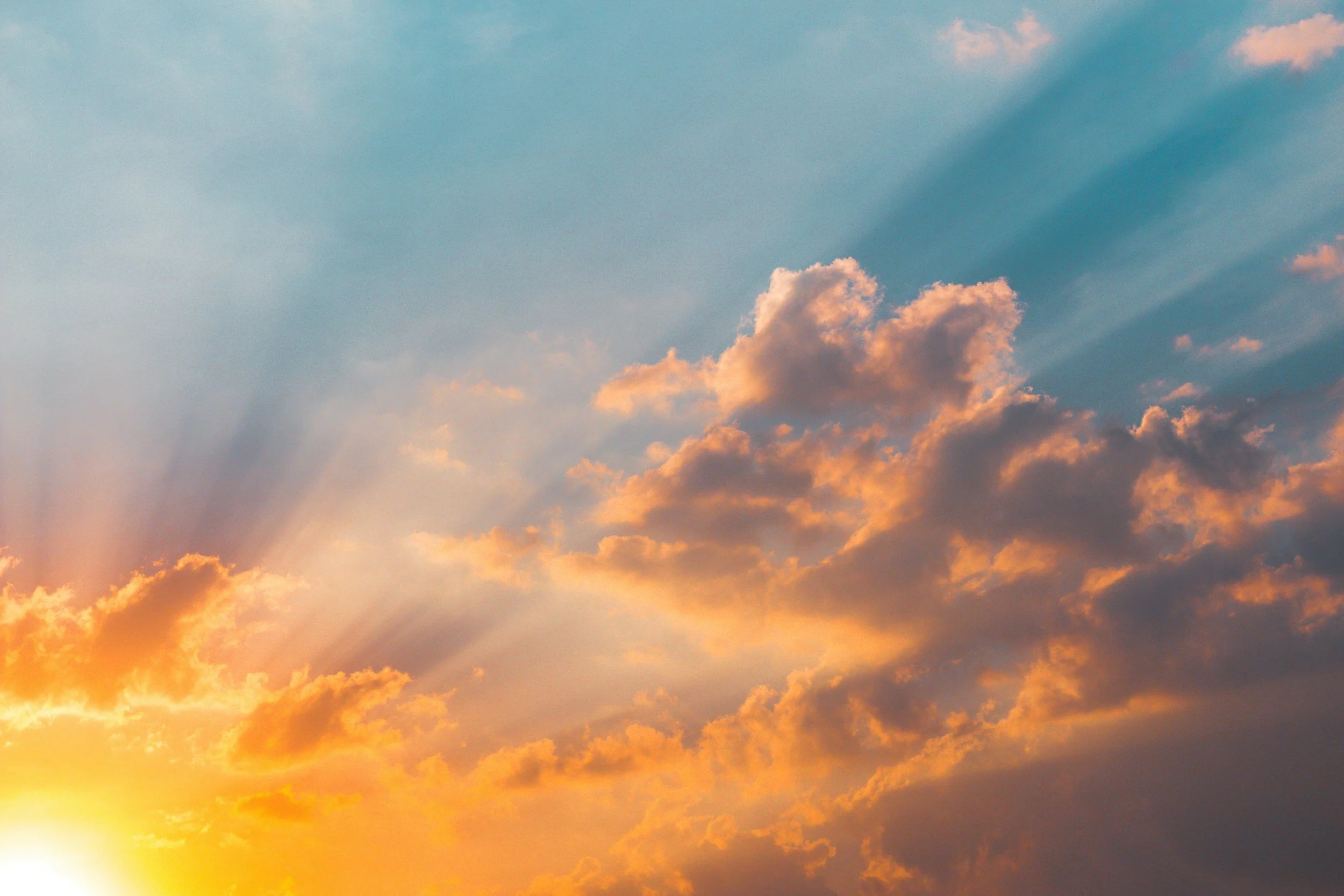 Episode 5: Beyond Happiness - How Meaning and Values Shape A Good Life