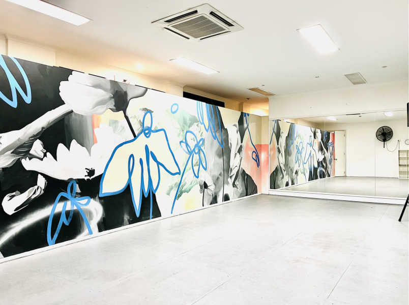 Studio Hire — Mad Dance House