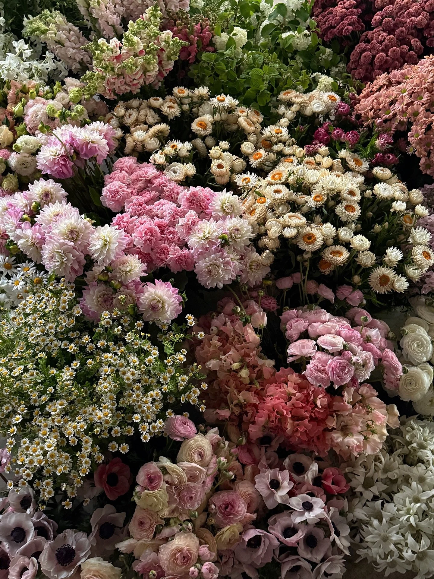 This weekends colour palette for the loveliest Caitlin &amp; Emmett 💕