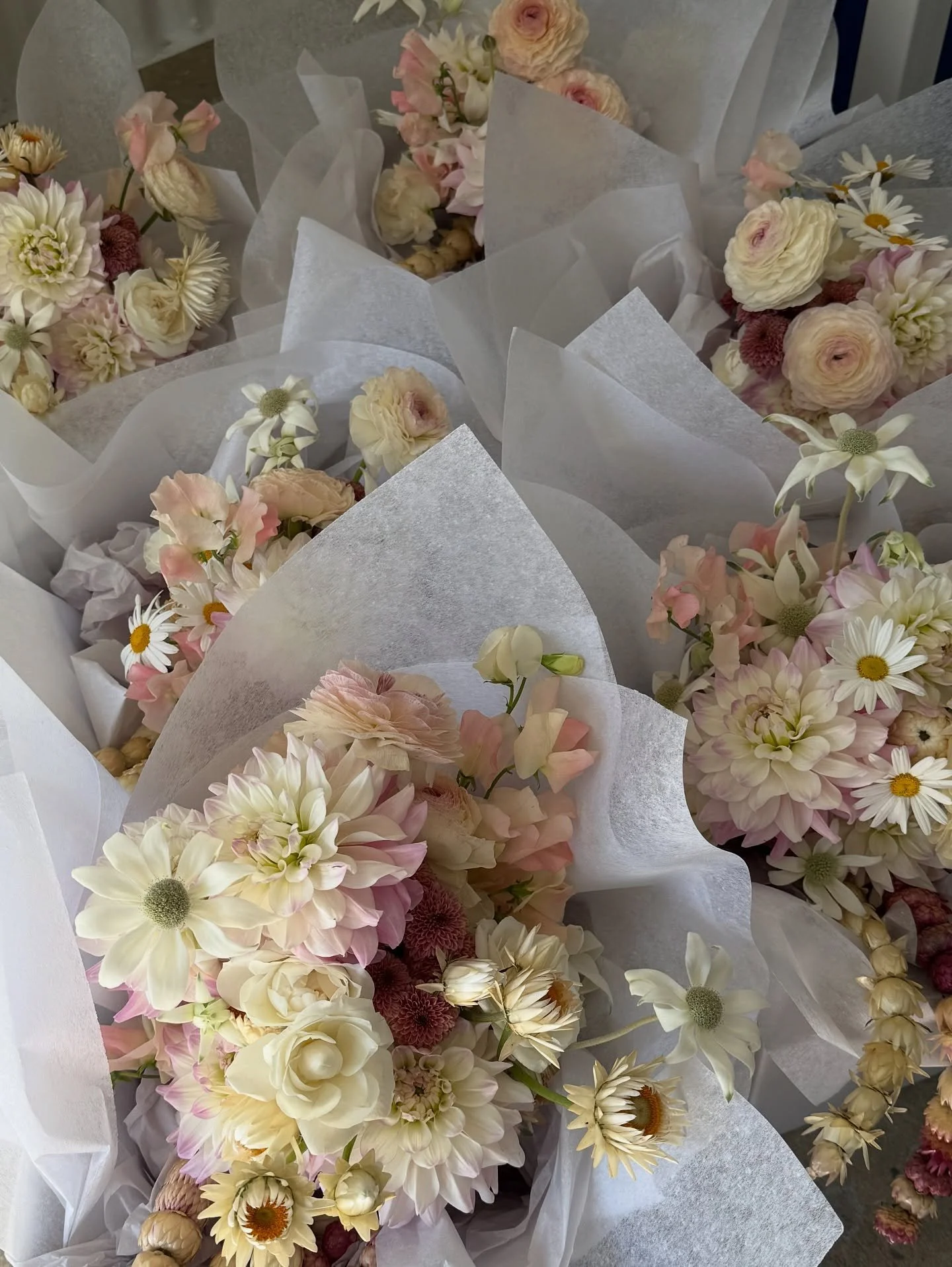Dahlias ~ Ranunculus ~ Sweetpea ~ Flannel Flower ~ Button Chrysanthemums ~ Swan Spray Roses ~ Daisies &amp; Paper Daisy chains 💕 For Caitlin &amp; her girls