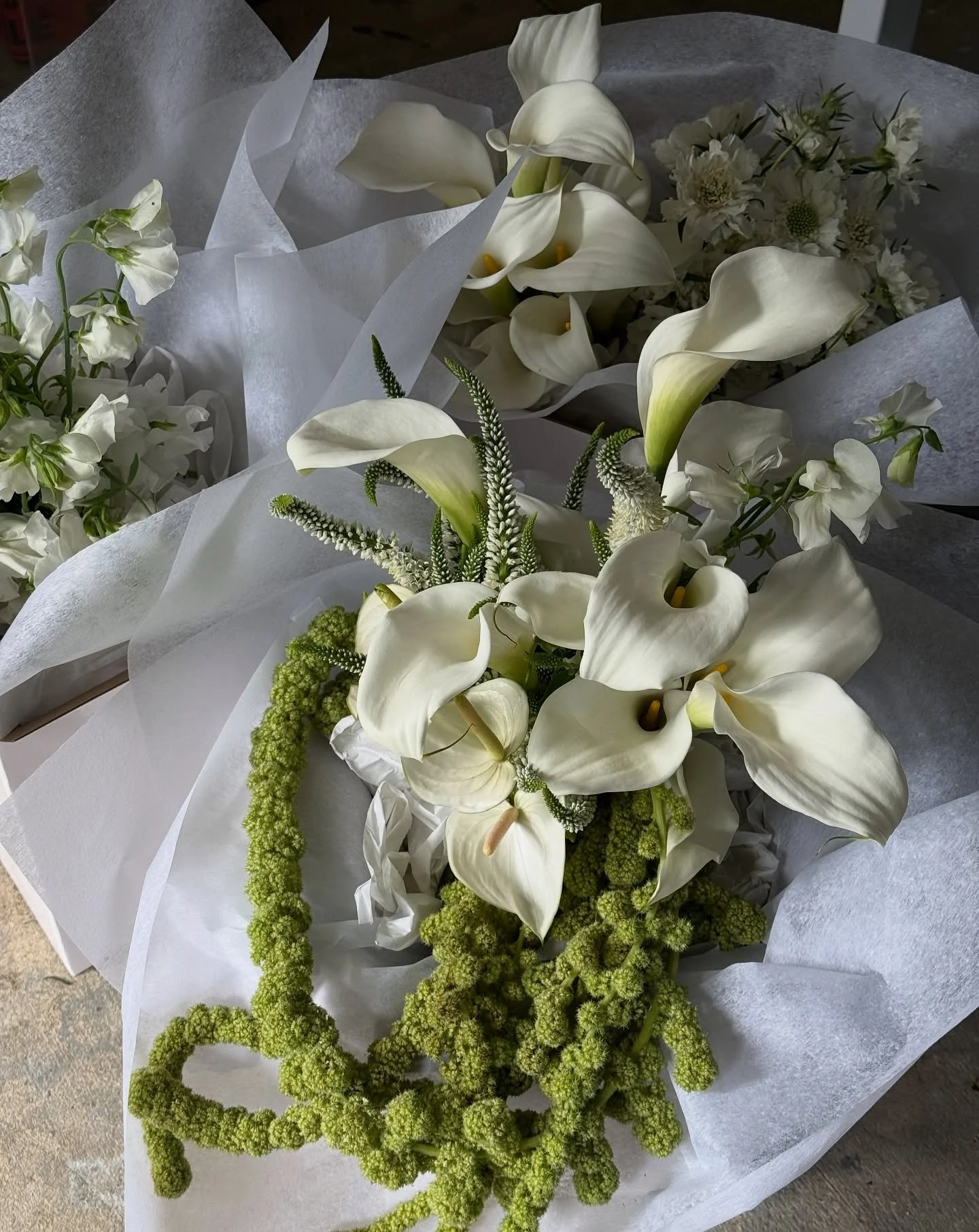 Calla Lily ~ Anthurium ~ Veronica ~ Sweetpea ~ Scabiosa ~ Amaranthus ~ for Lara &amp; her girls 🕊️🤍