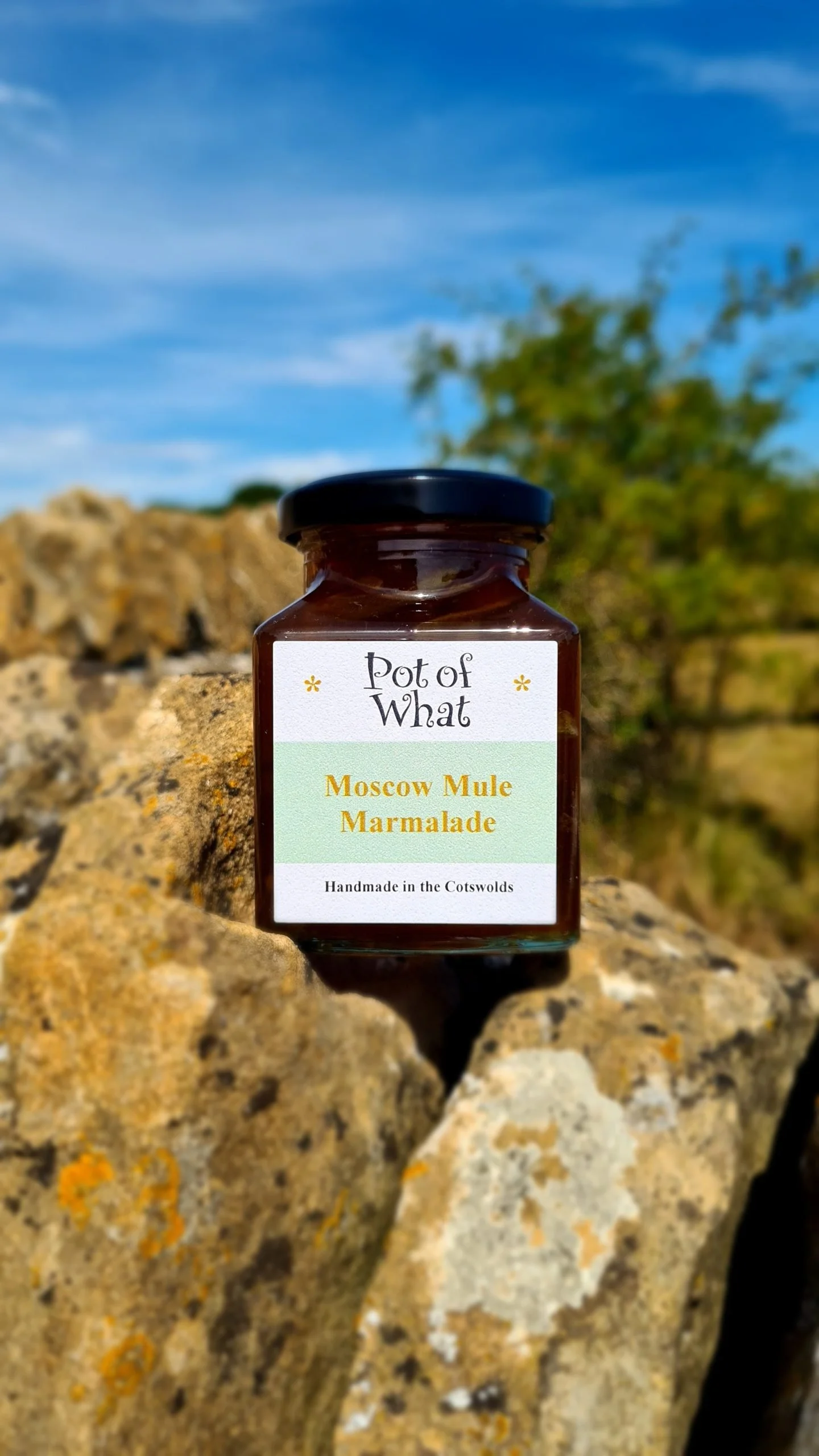 Moscow Mule Marmalade