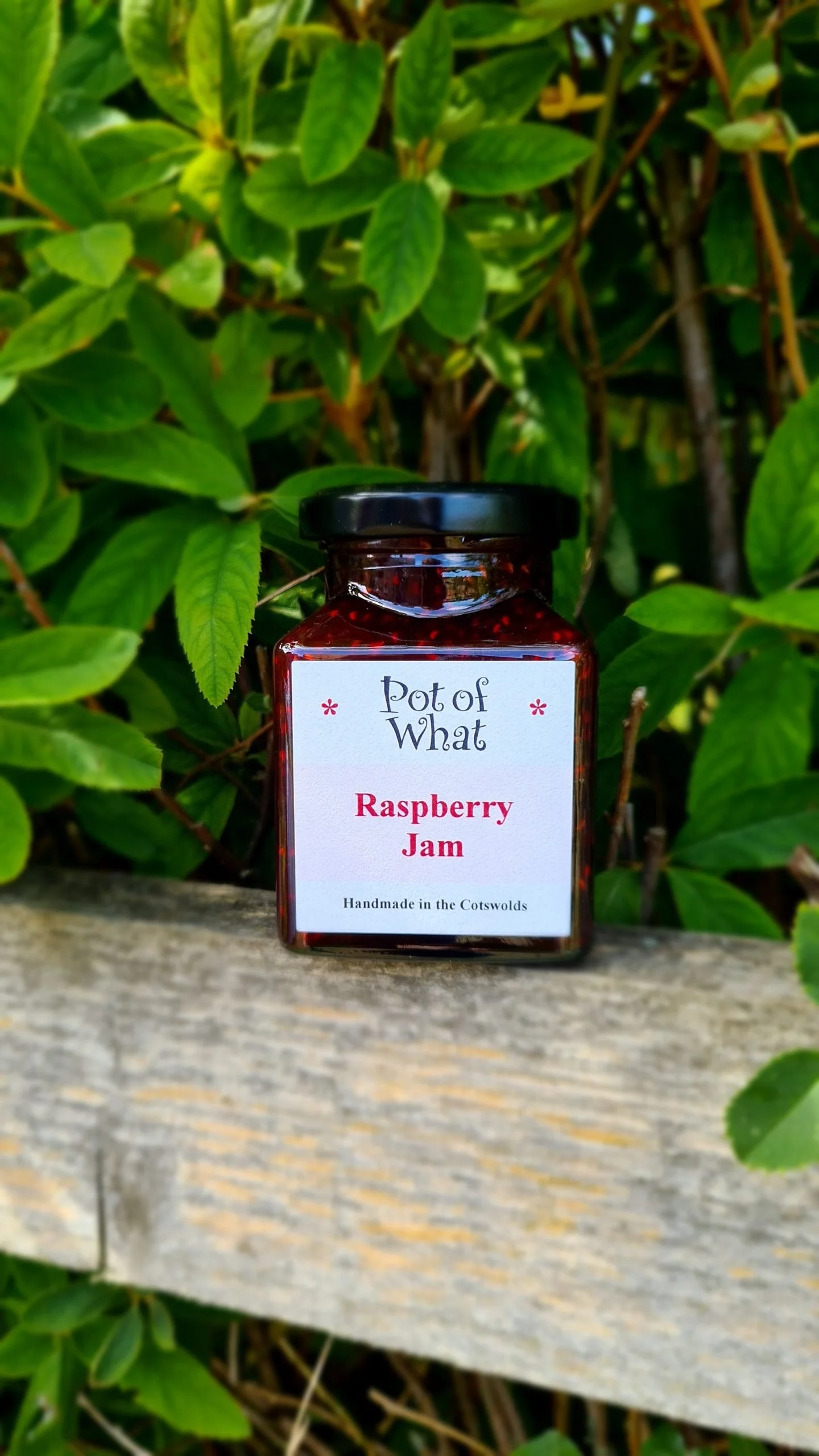 Raspberry Jam