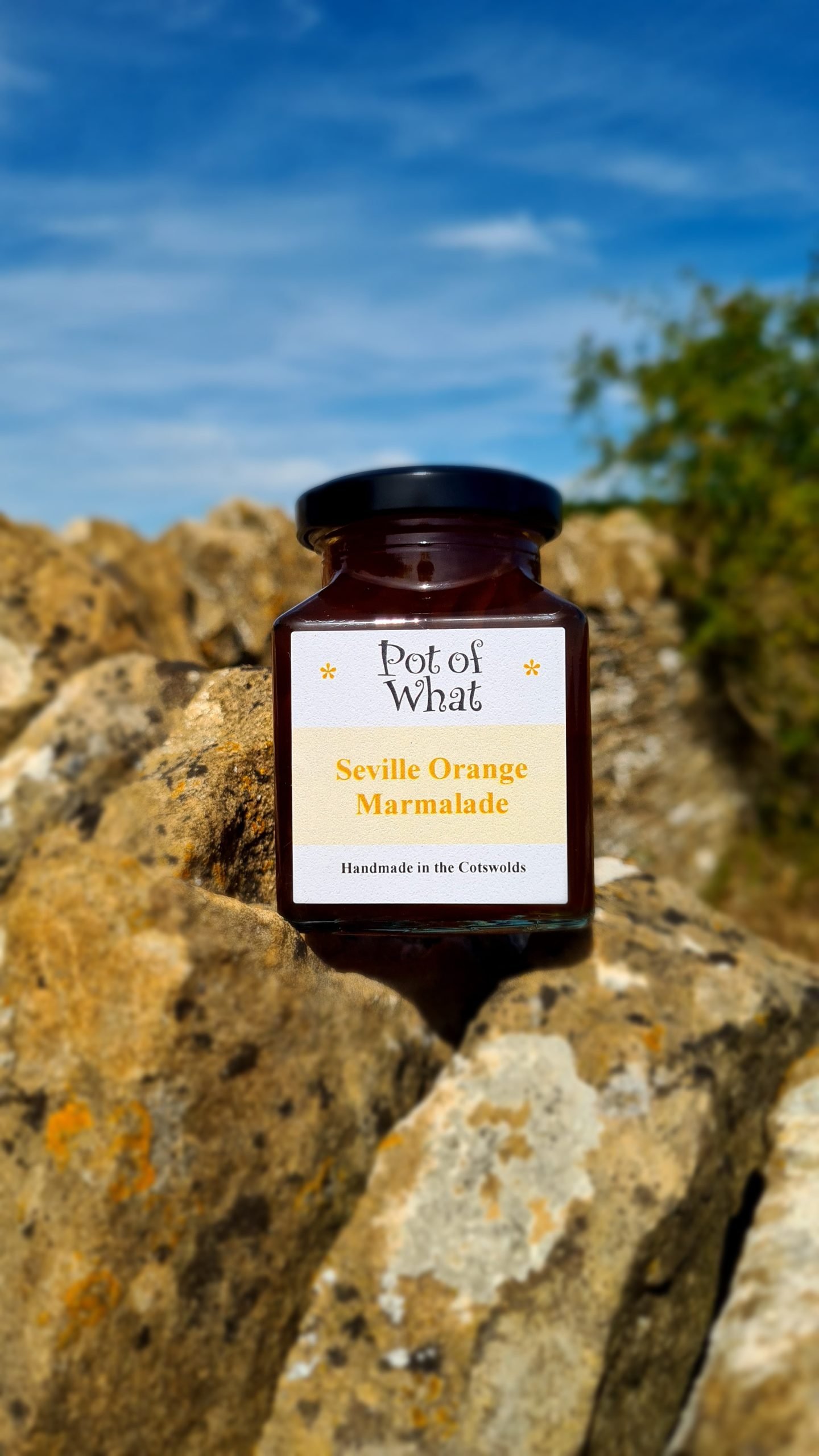 Seville Orange Marmalade