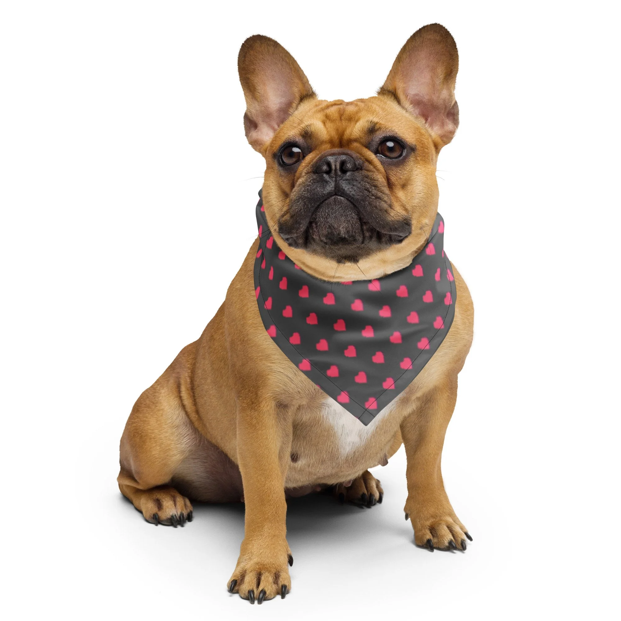 All-over print bandana - Pet