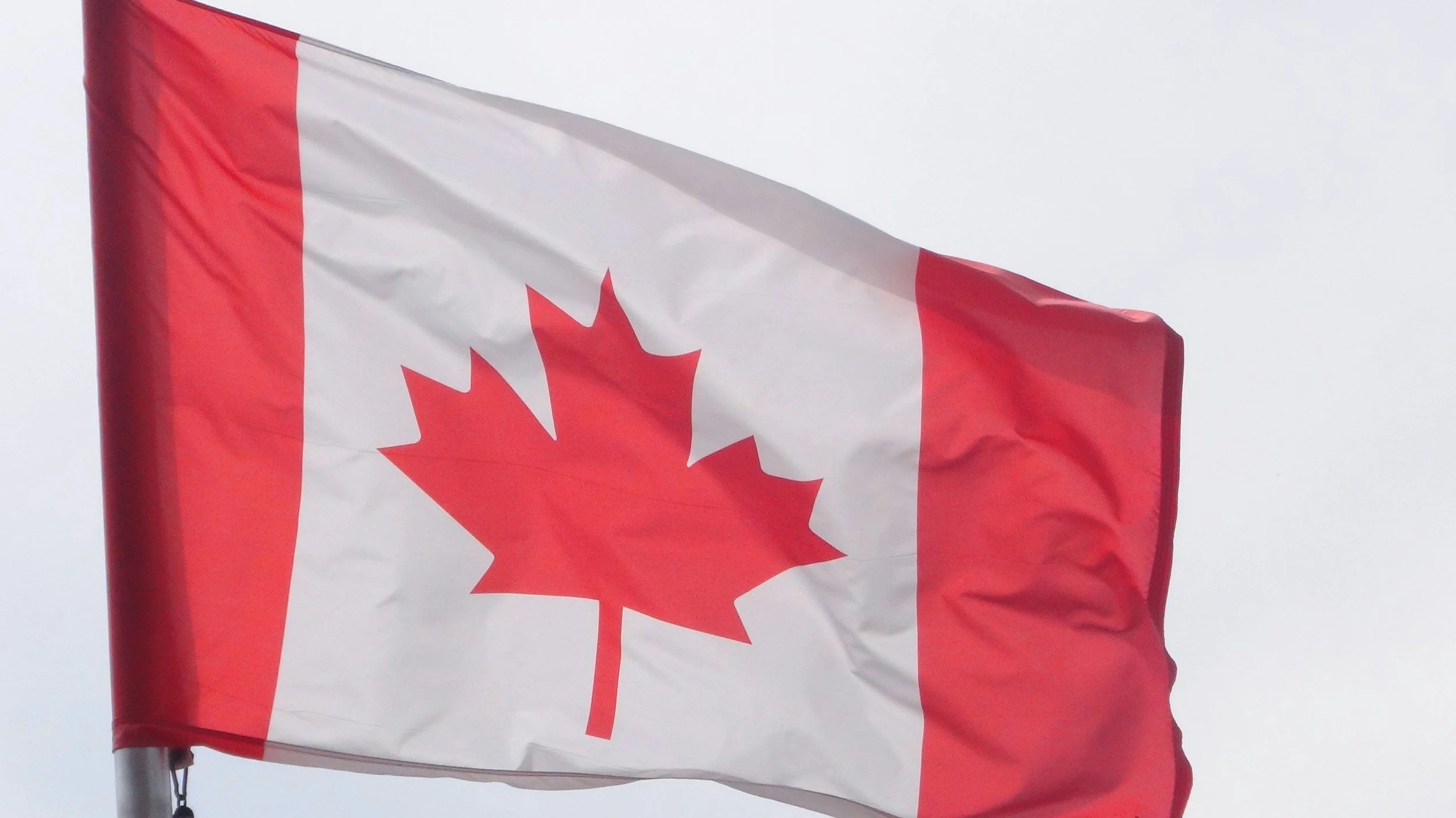 Canadian flag with red maple leaf and red borders on a white background.