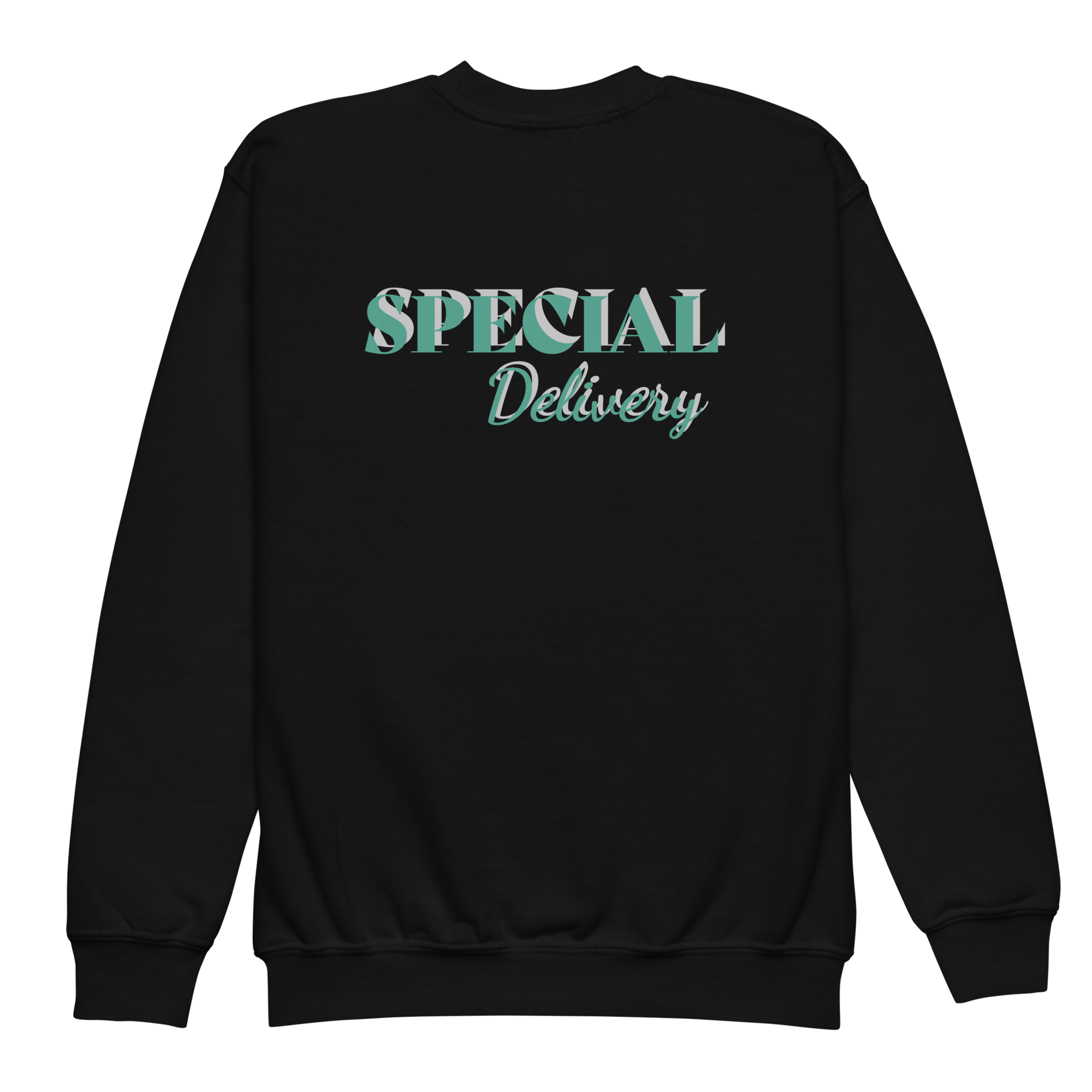 youth-crew-neck-sweatshirt-black-back-6828dc7c4e207.png